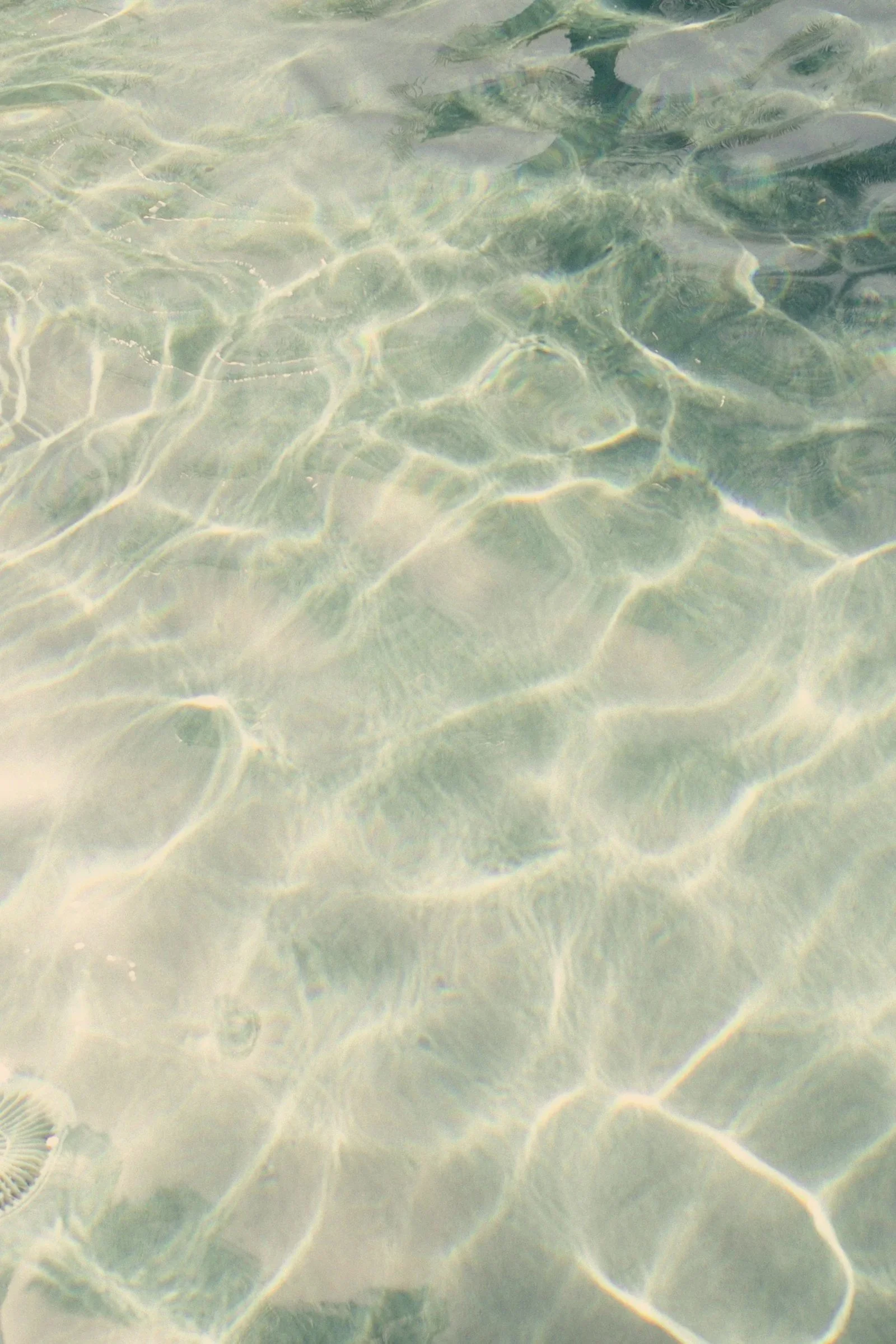 A close up of stunning turquoise waters and the sunlight reflected in them.