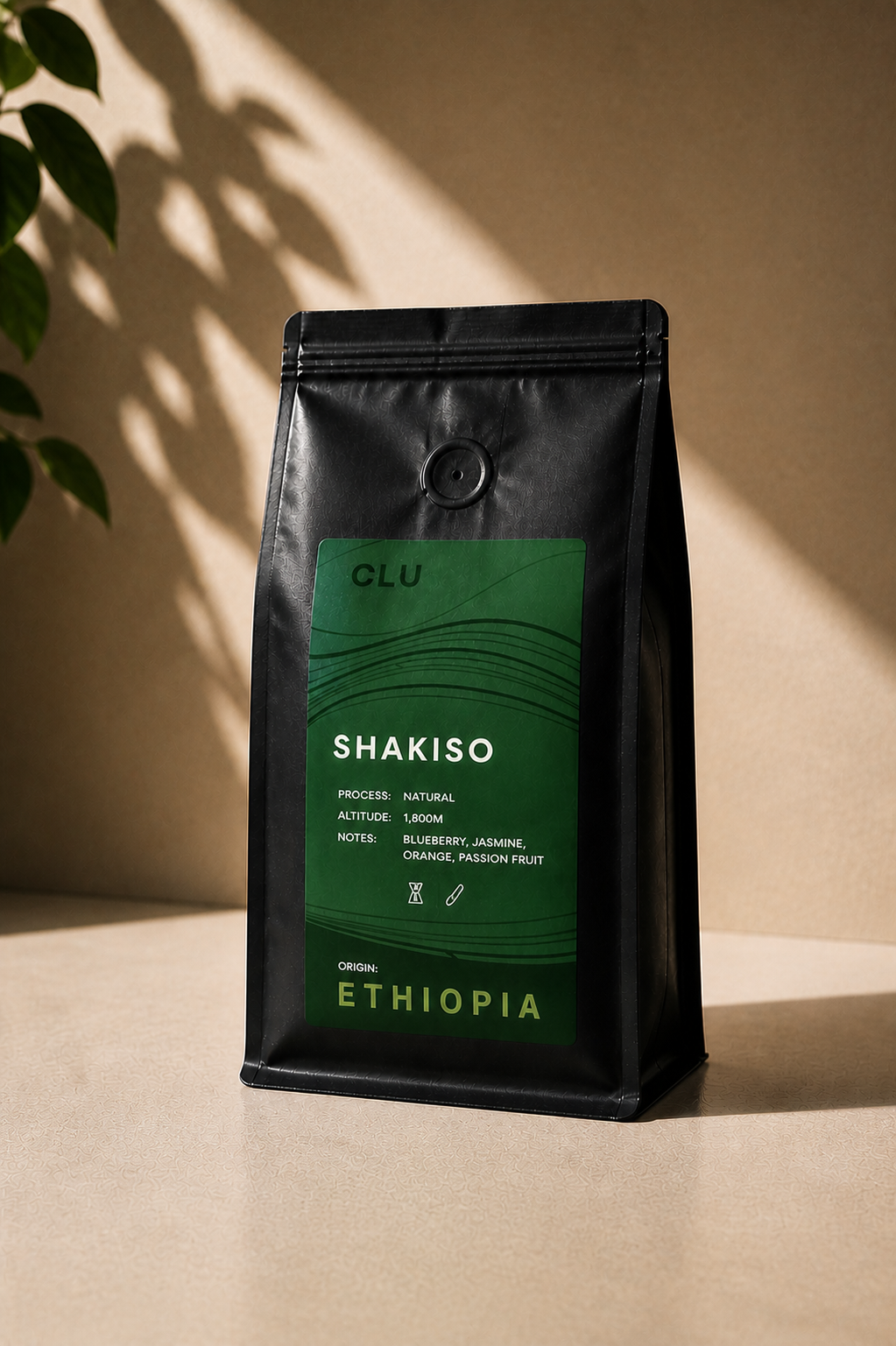 Shakiso