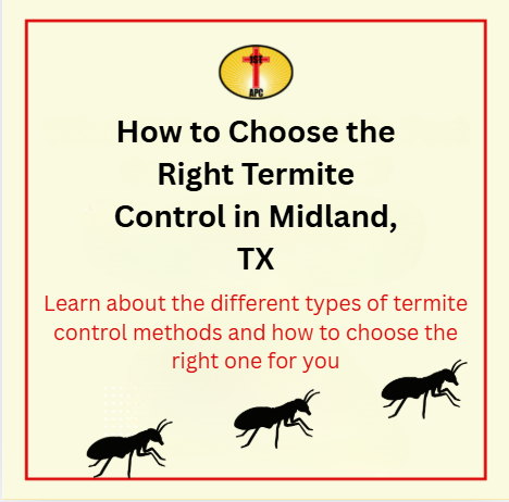  How to Choose the Right Termite Control in Midland, TX