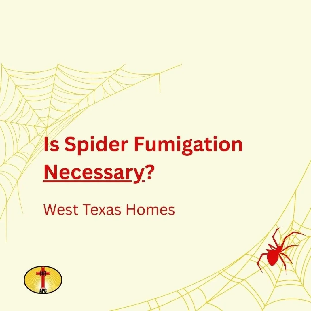 Is Spider Fumigation in West Texas Necessary?
