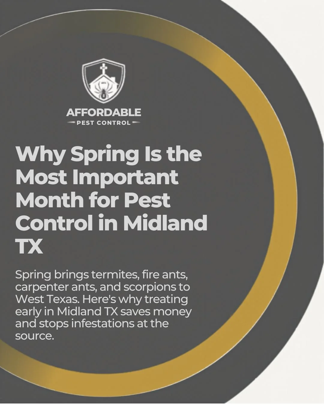 Why Spring Is the Most Important Month for Pest Control in Midland TX