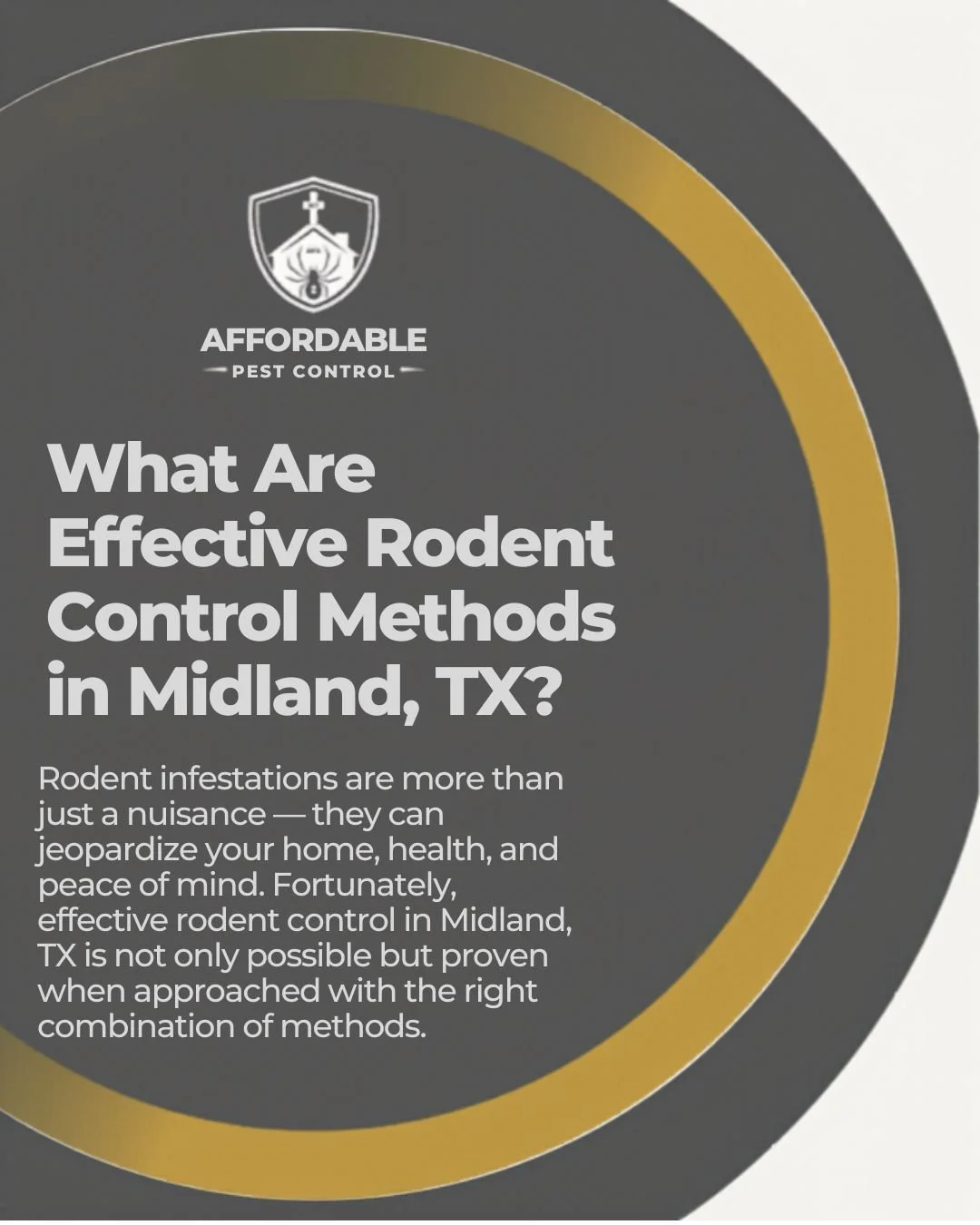 What Are Effective Rodent Control Methods in Midland, TX?