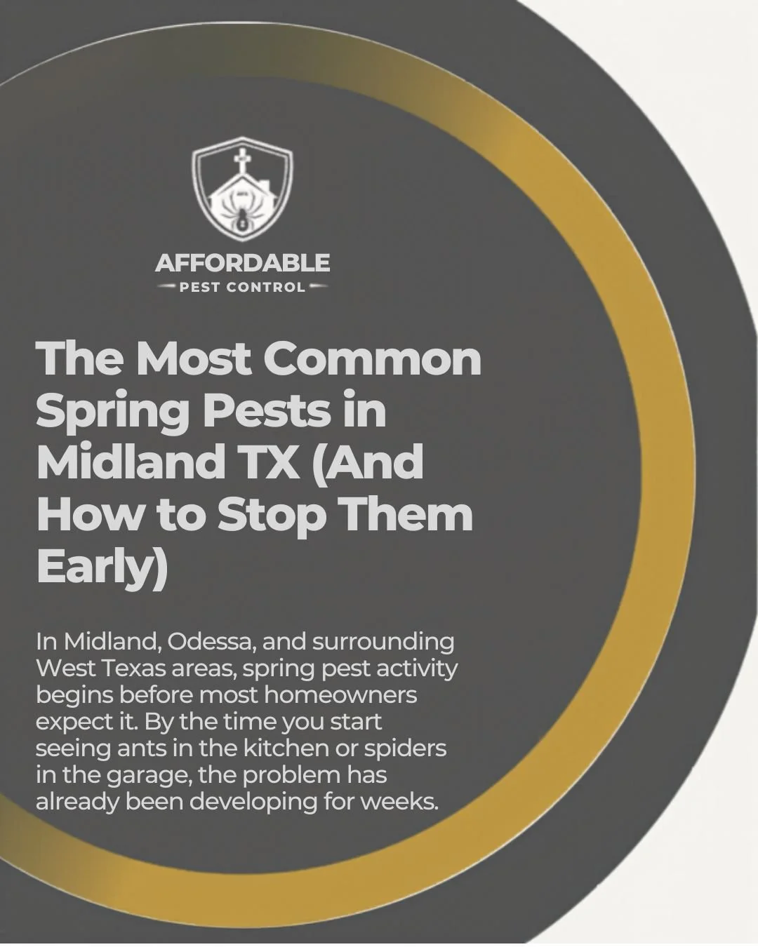 The Most Common Spring Pests in Midland TX (And How to Stop Them Early)