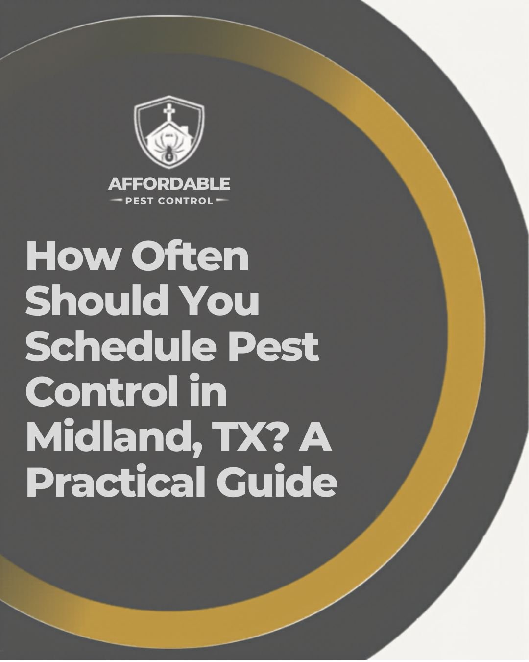 How Often Should You Schedule Pest Control in Midland, TX? A Practical Guide