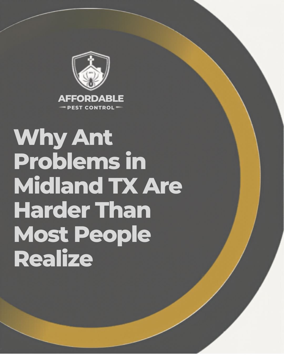 Why Ant Problems in Midland TX Are Harder Than Most People Realize