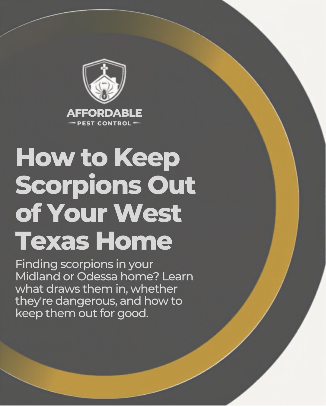 How to Keep Scorpions Out of Your West Texas Home