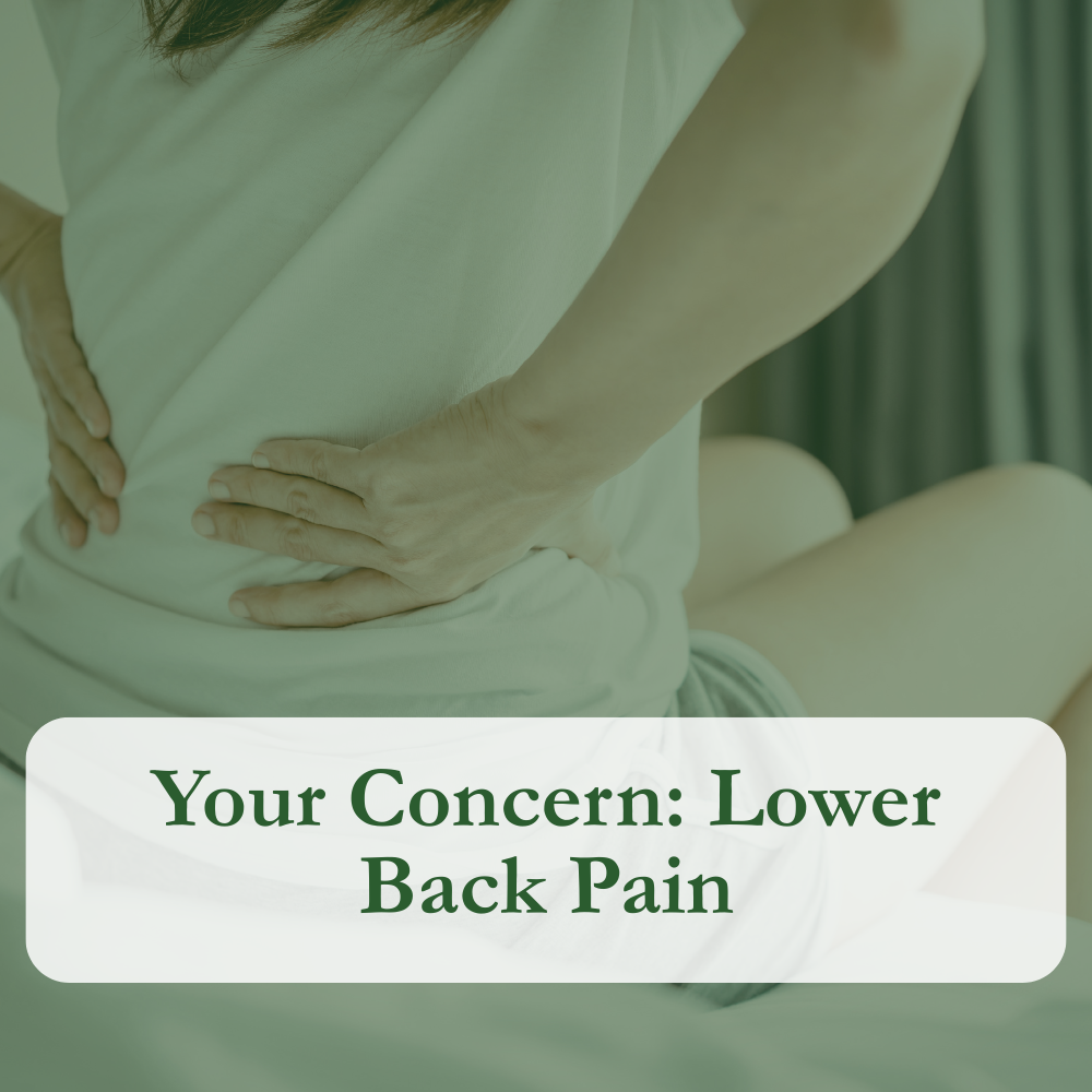 Back Pain.png