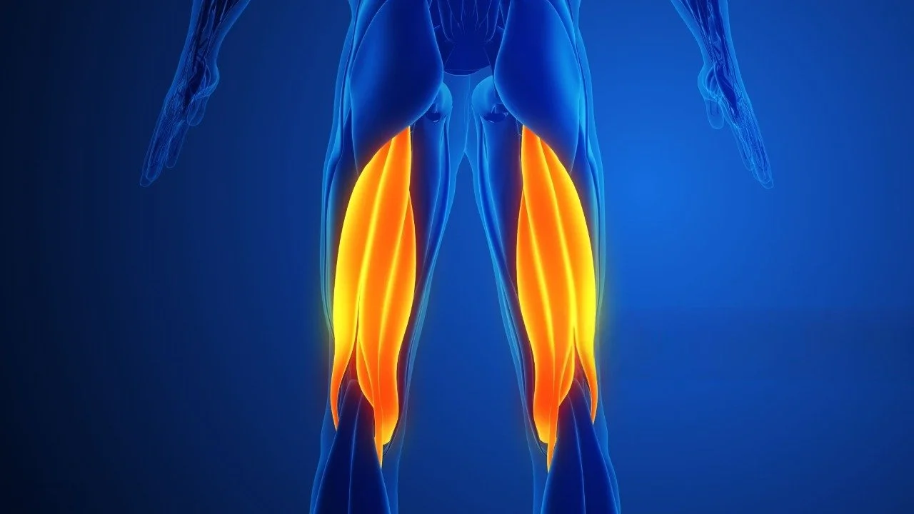 Hamstrings