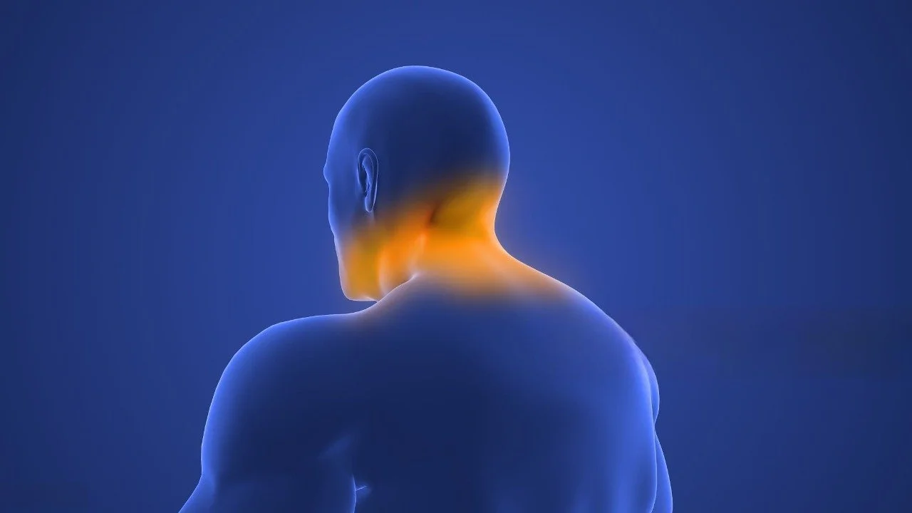 Upper Trapezius