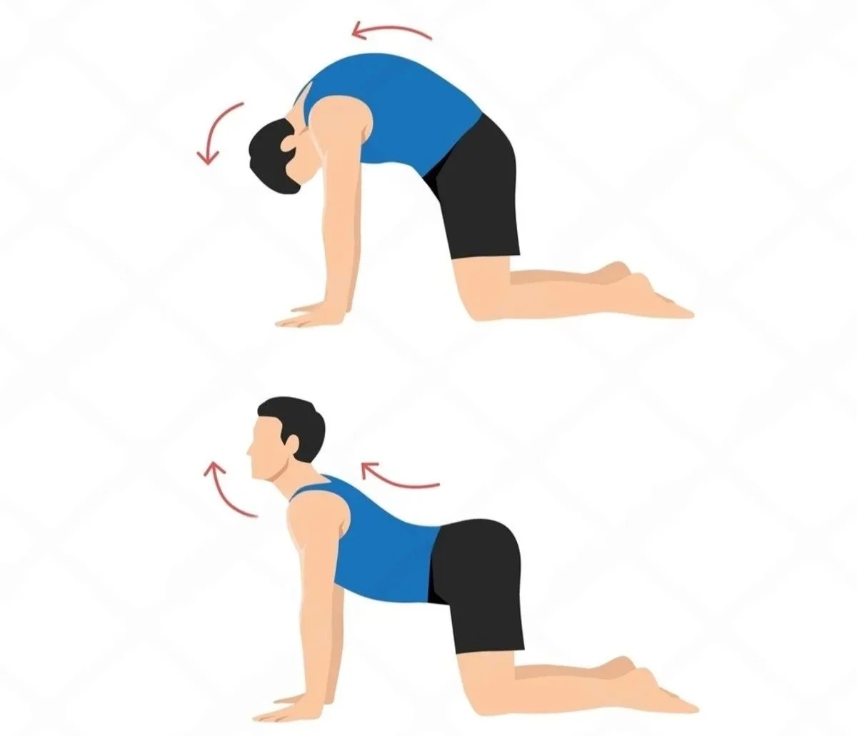 Cat-Cow Stretch