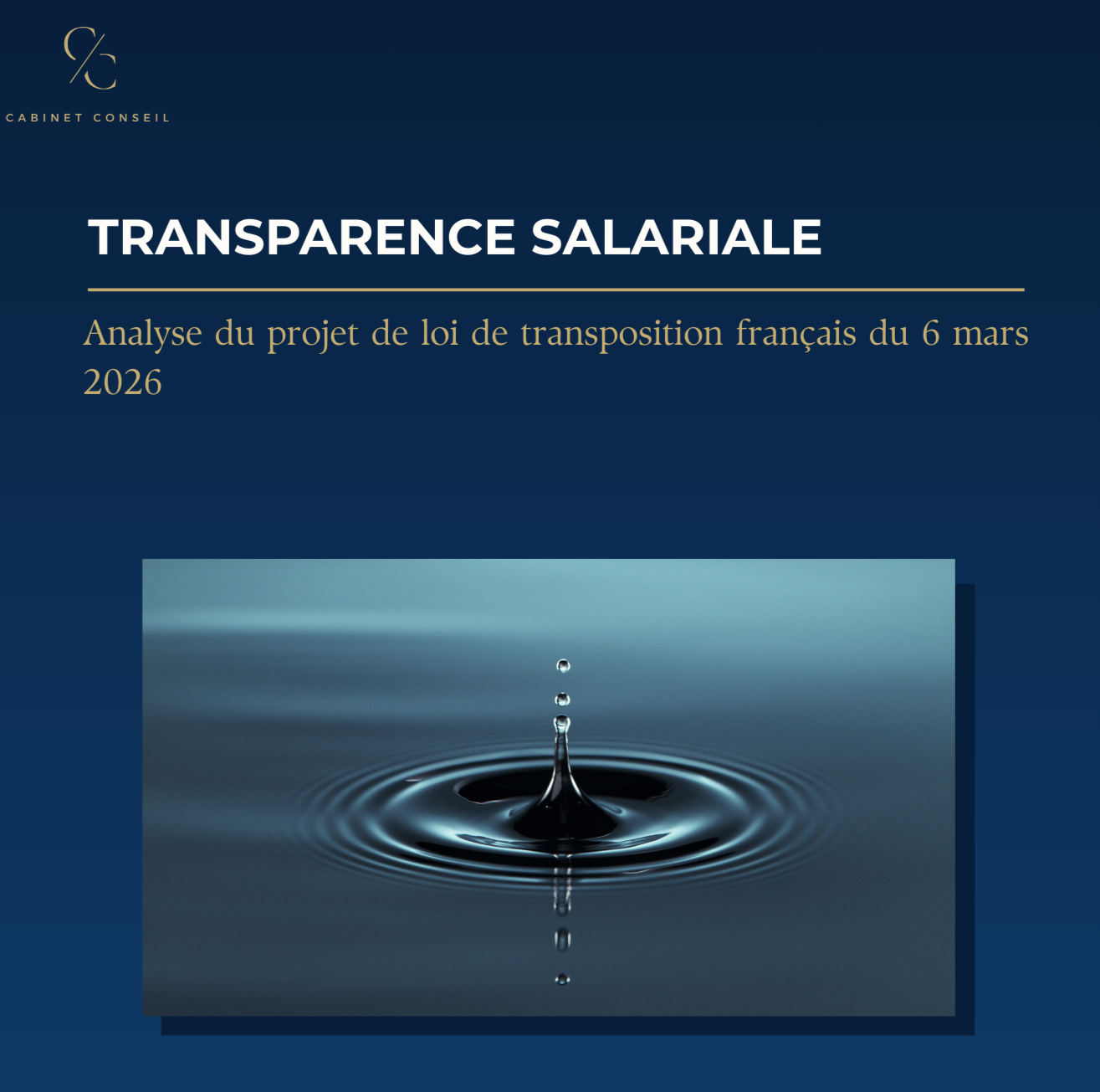 Projet de loi transparence salariale : Enjeux, impacts et décisions à sécuriser