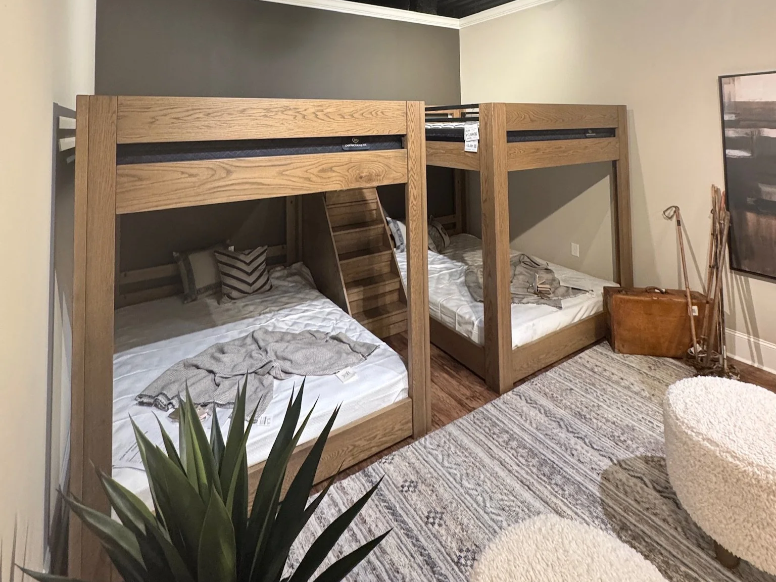 Two wooden bunk beds in a room with a gray and beige wall, a patterned rug, and a large plant in the foreground, with some towels and pillows on the beds.