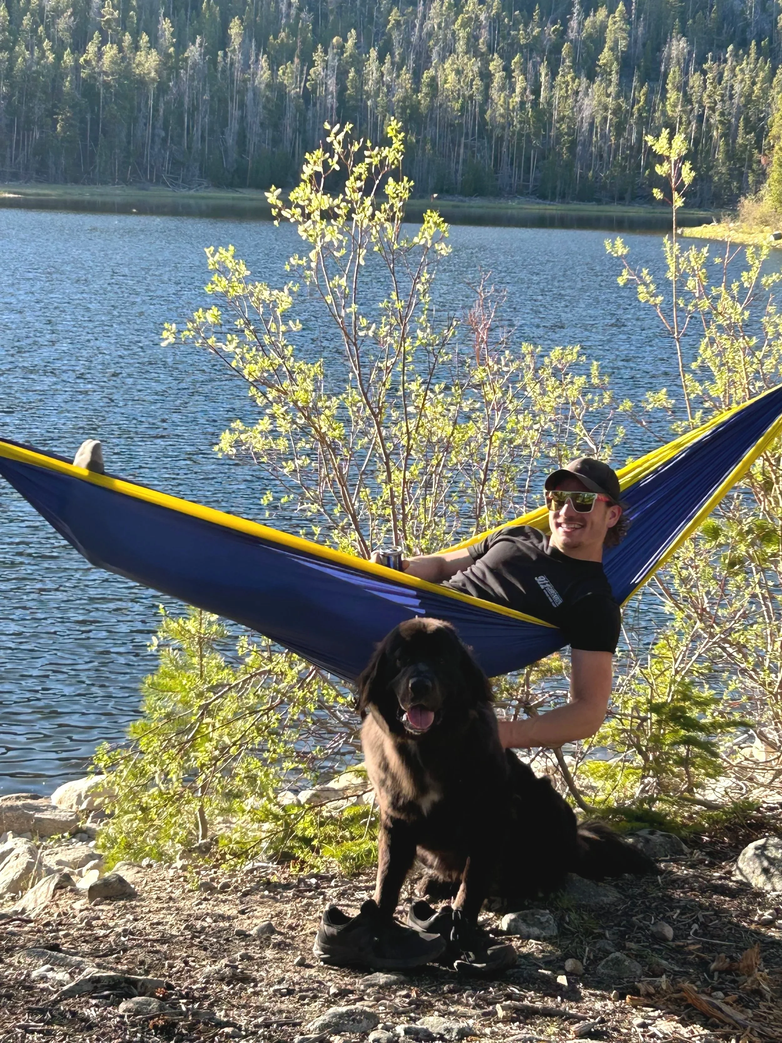 A smiling man relaxing in a blue and yellow hammock near a lake with green trees and bushes in the background, and a black dog sitting on the rocky ground nearby.