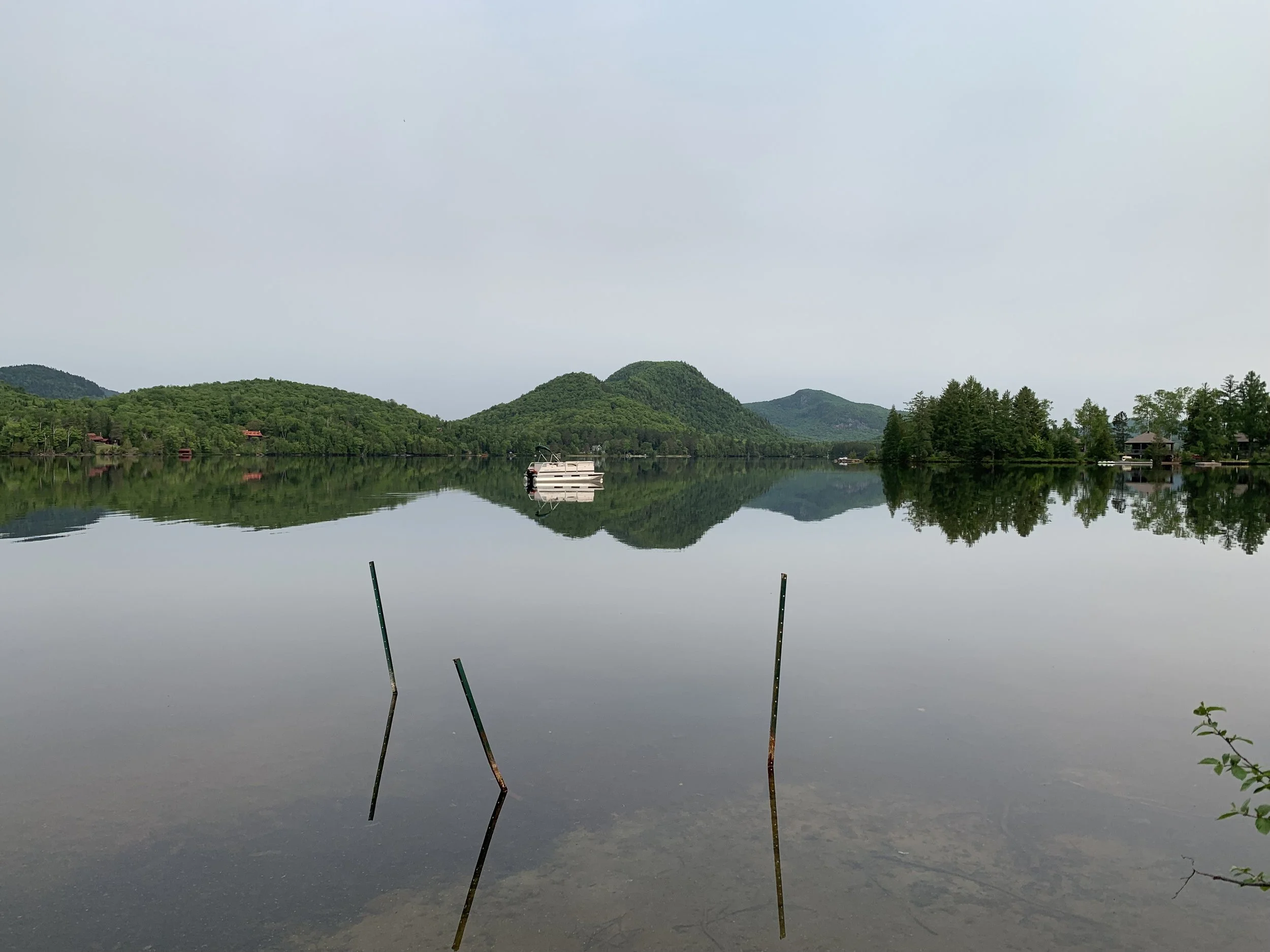 IMG_4767.jpg