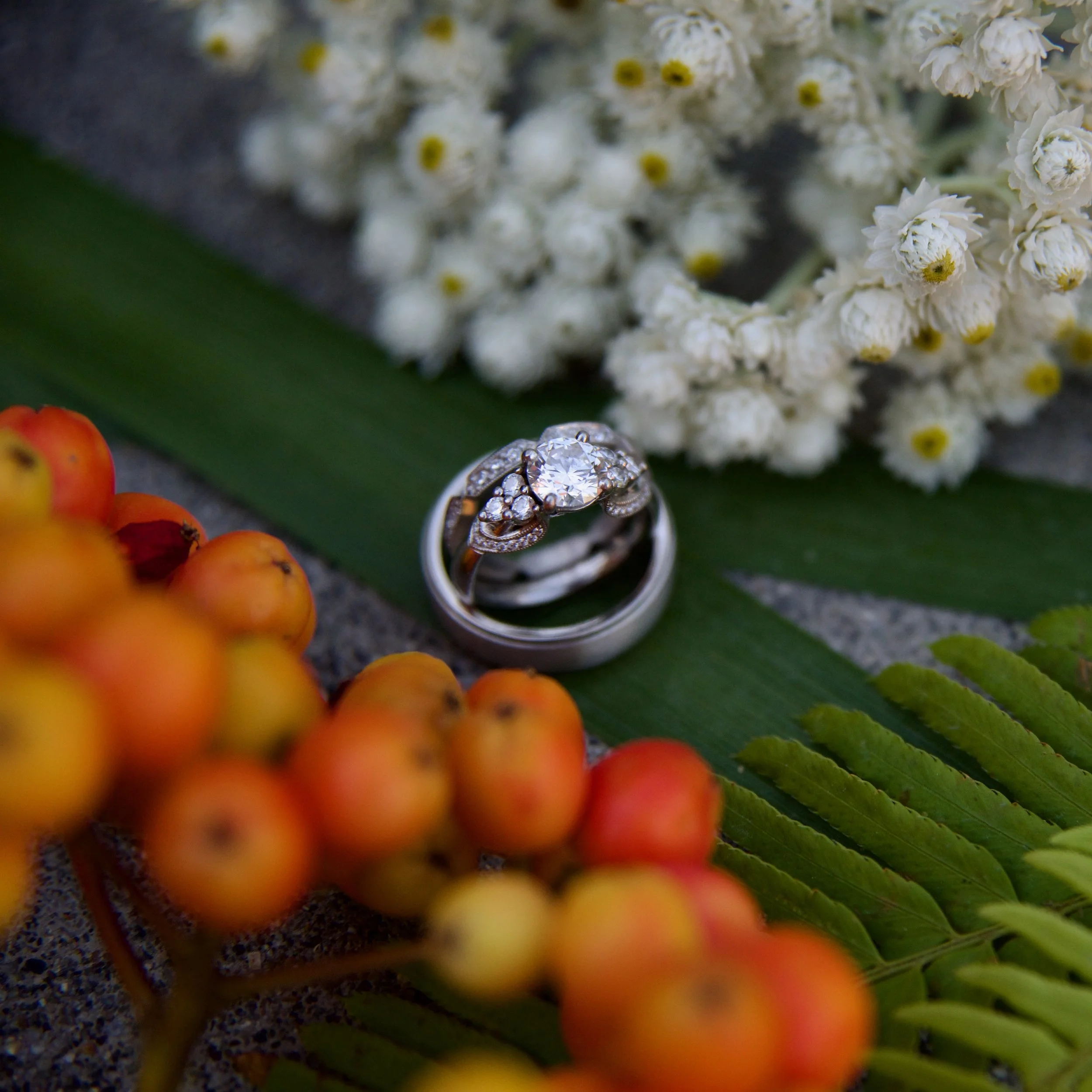 Katie Ward Wedding. 2015