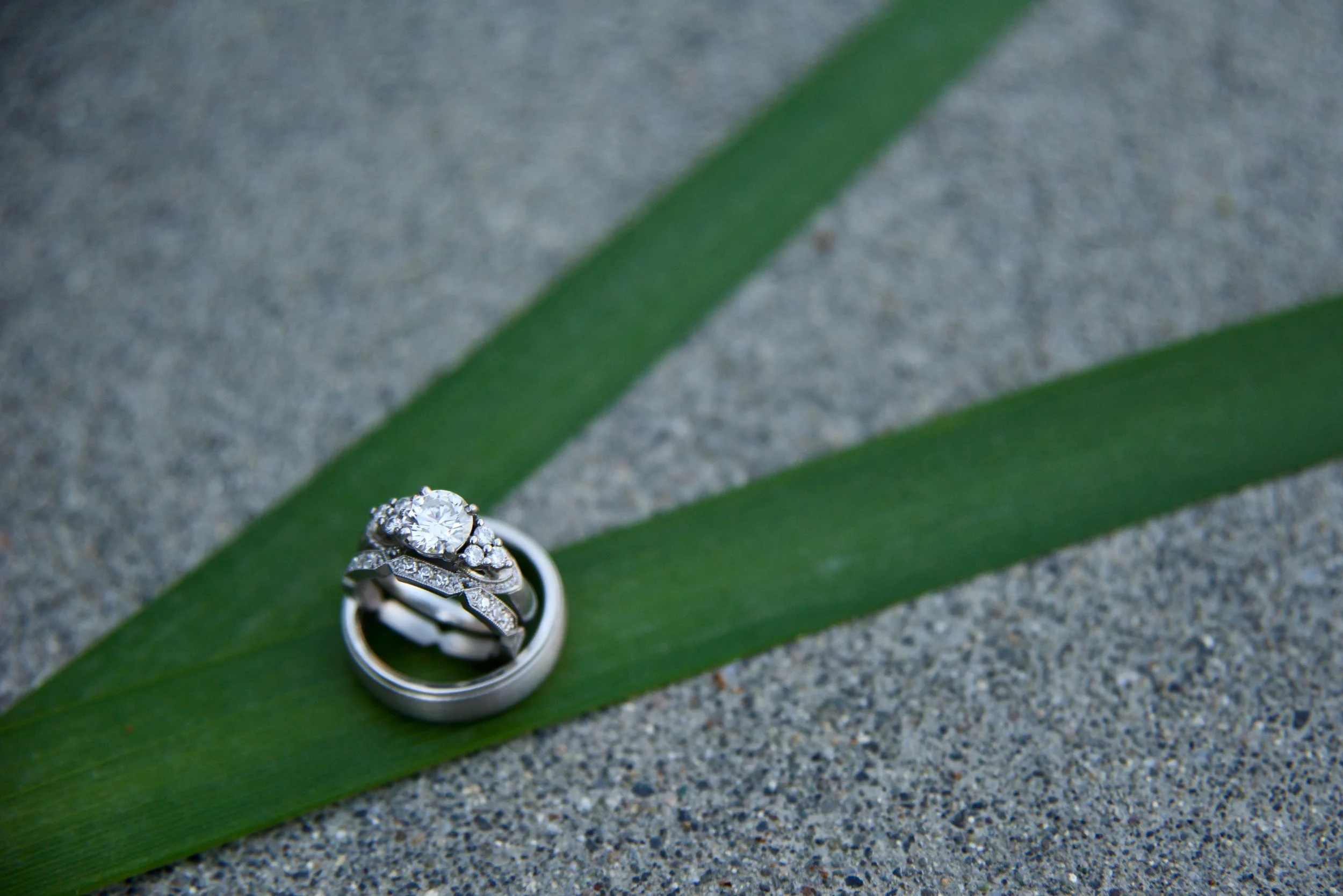 Katie Ward Wedding. 2015