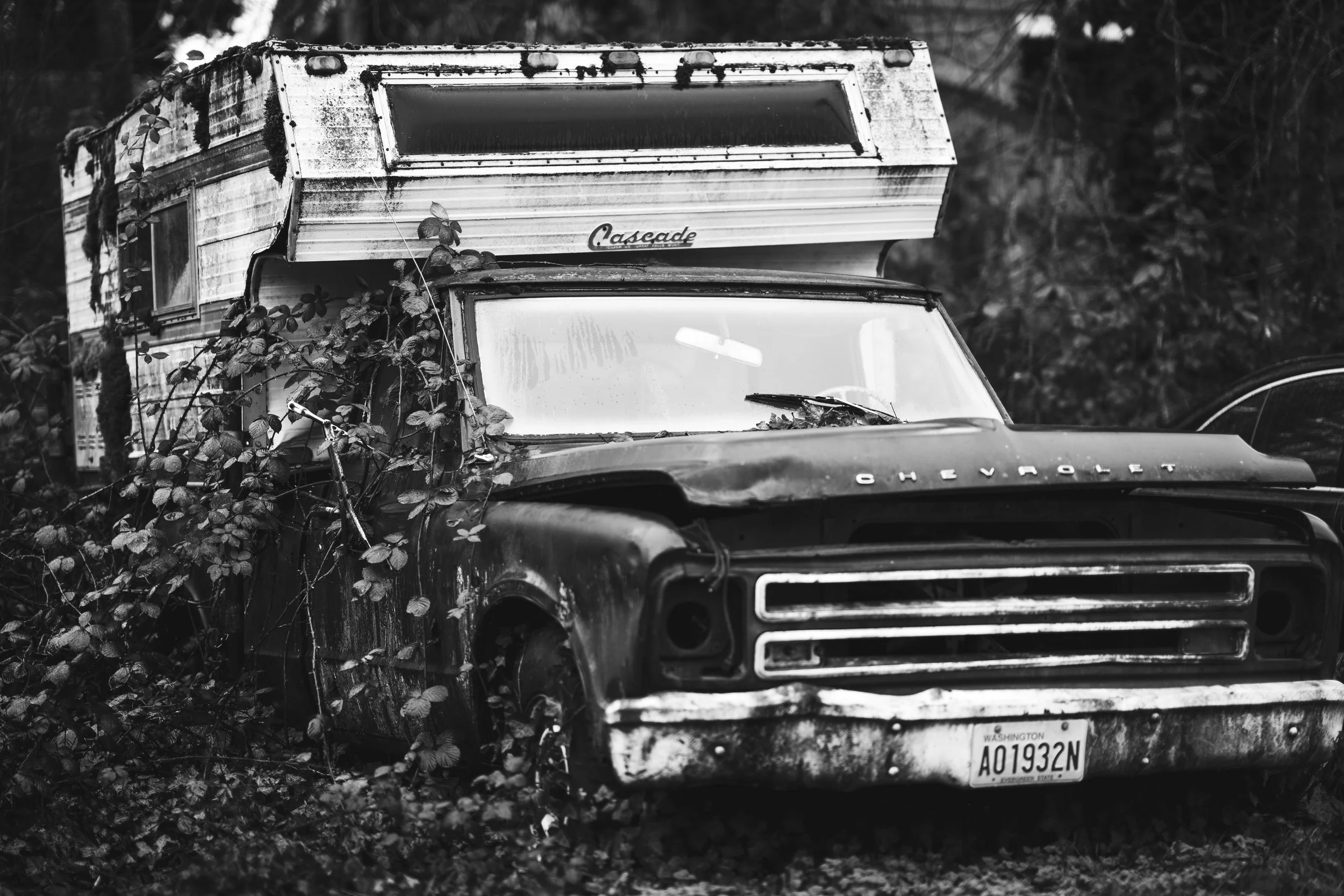 Travel Photos. Arlington. 2017