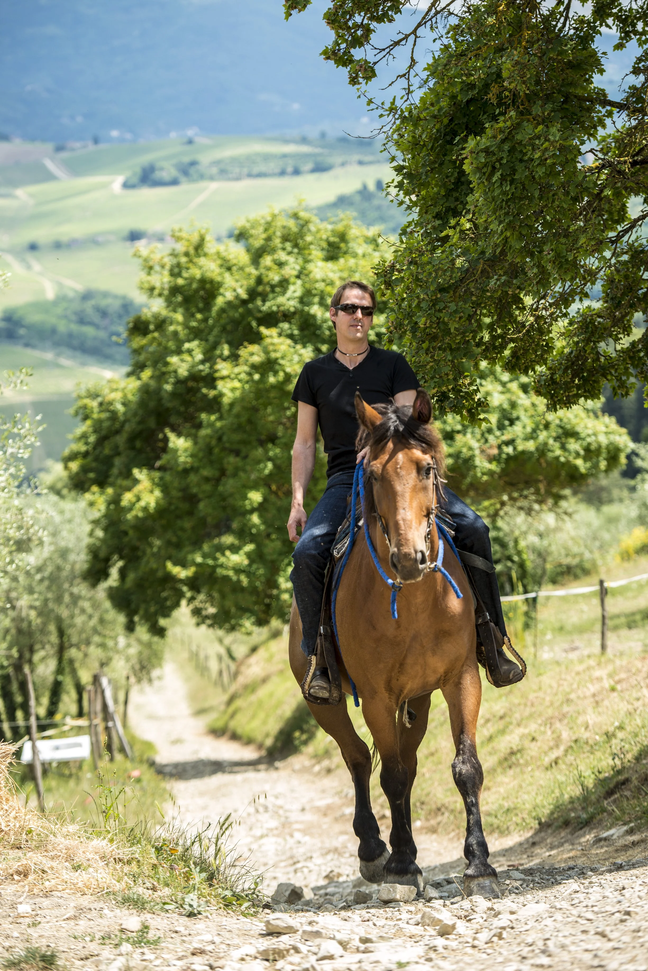 A person riding a horse on a dirt trail in a lush green landscape with rolling hills and trees.