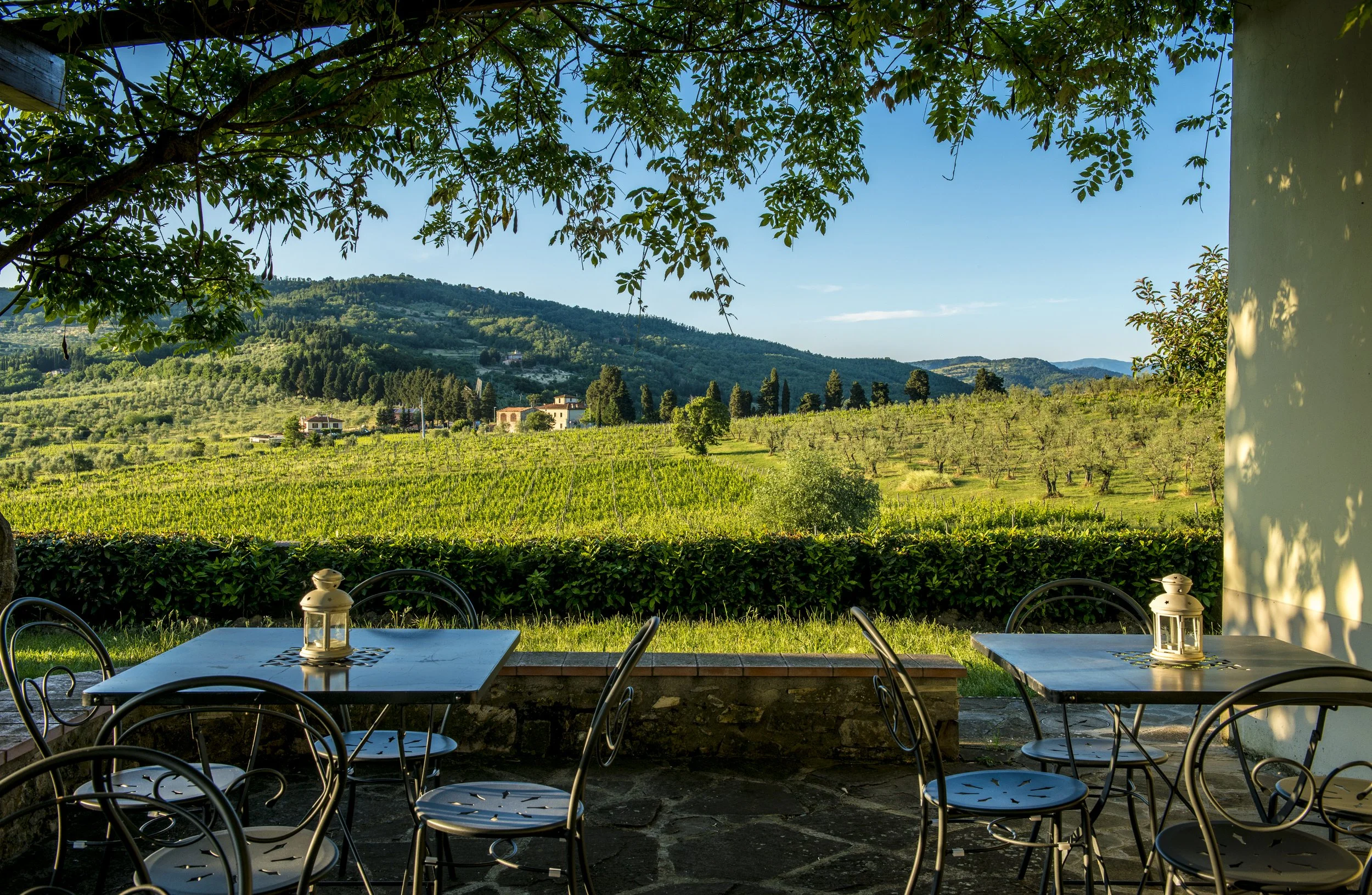 Outdoor patio with black metal chairs and tables, lantern decorations, overlooking a lush green vineyard and distant hills under a blue sky.