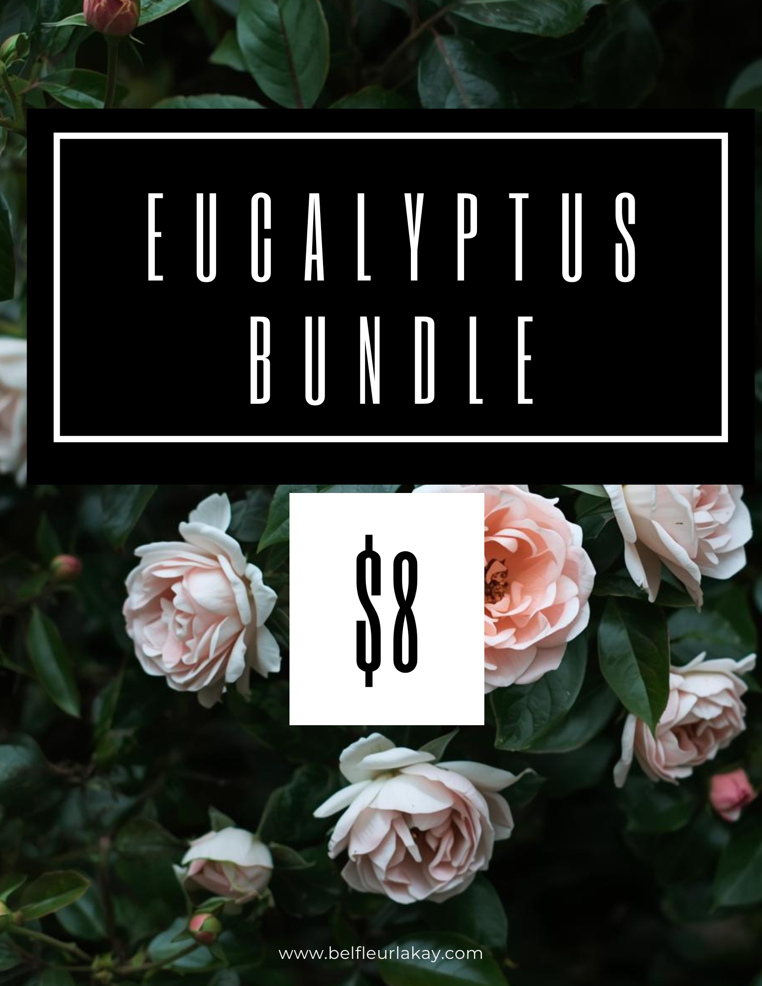 EUCALYPTUS BUNDLE
