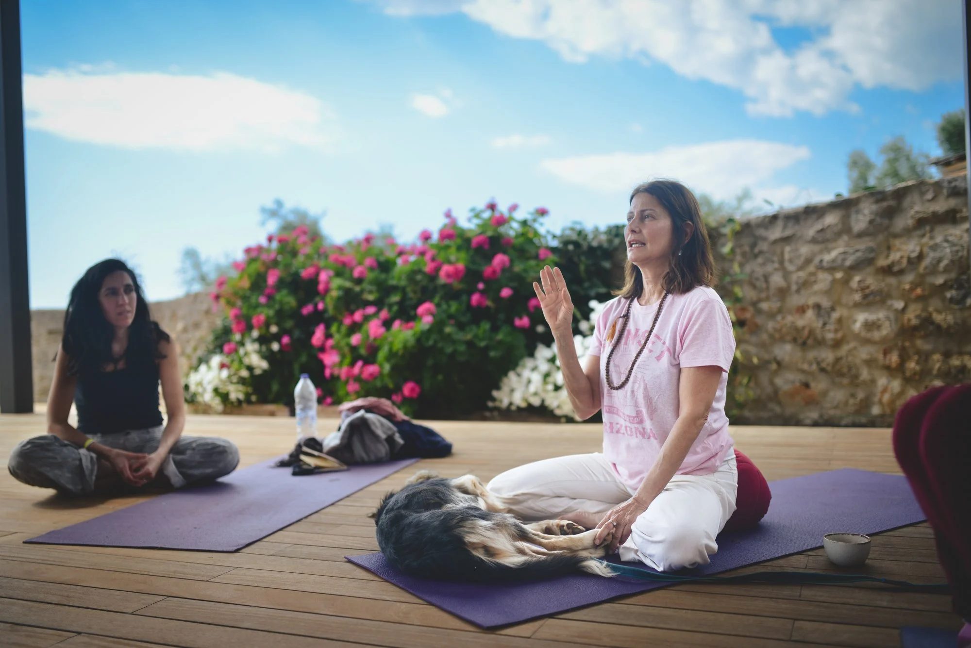 DOG_4818-2.jpg (Copy)