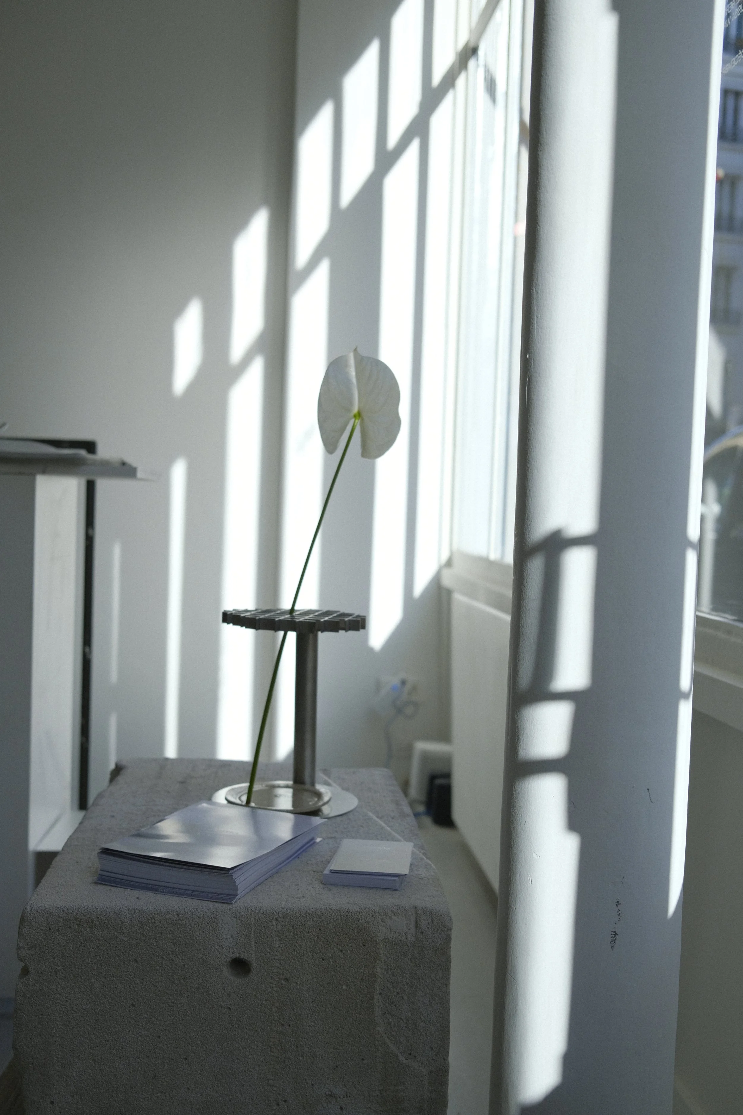 _DSF9657AQUA - crédit photos : FLORIE BERGER.JPG