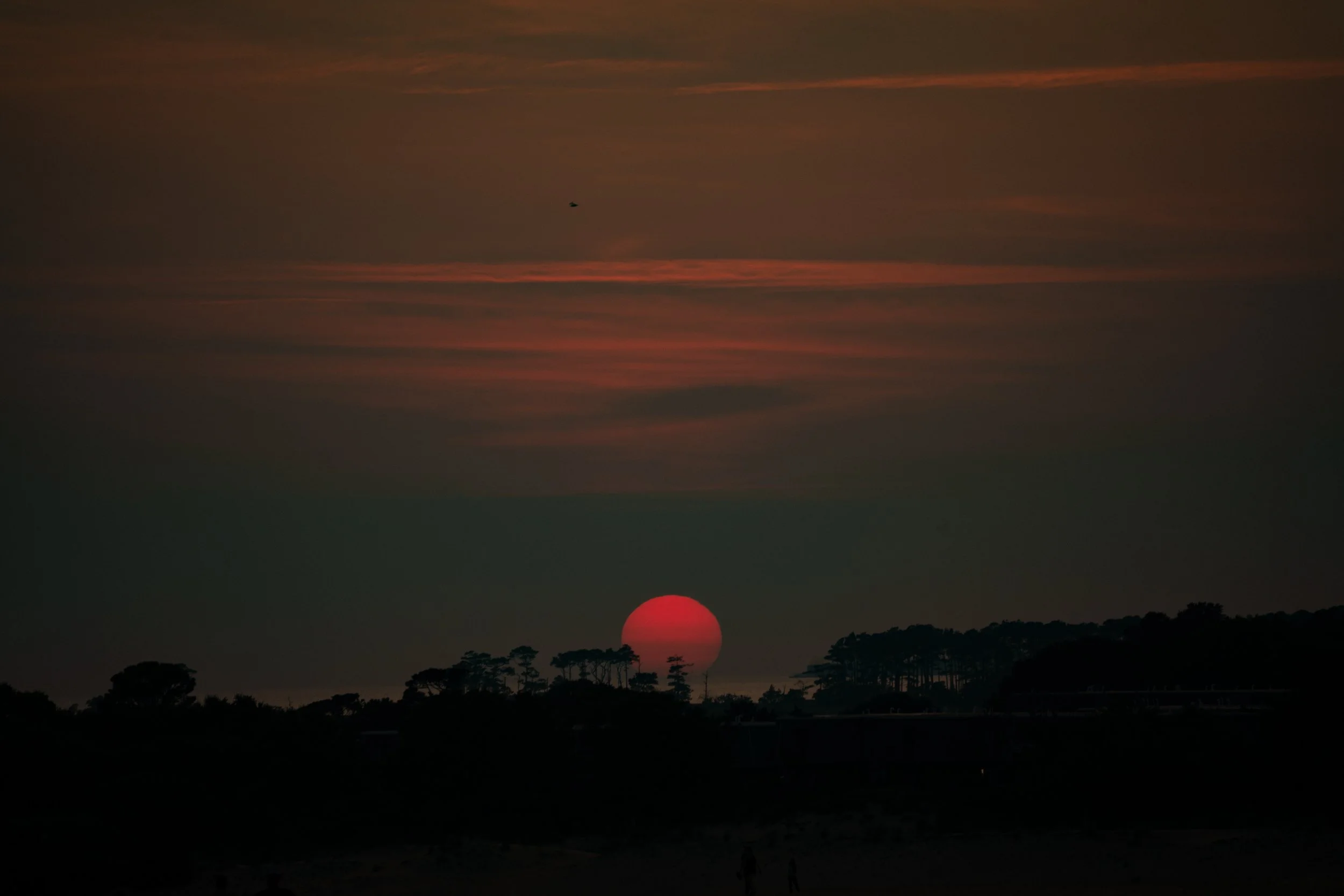 Jockey's Ridge, Nags Head N.C.