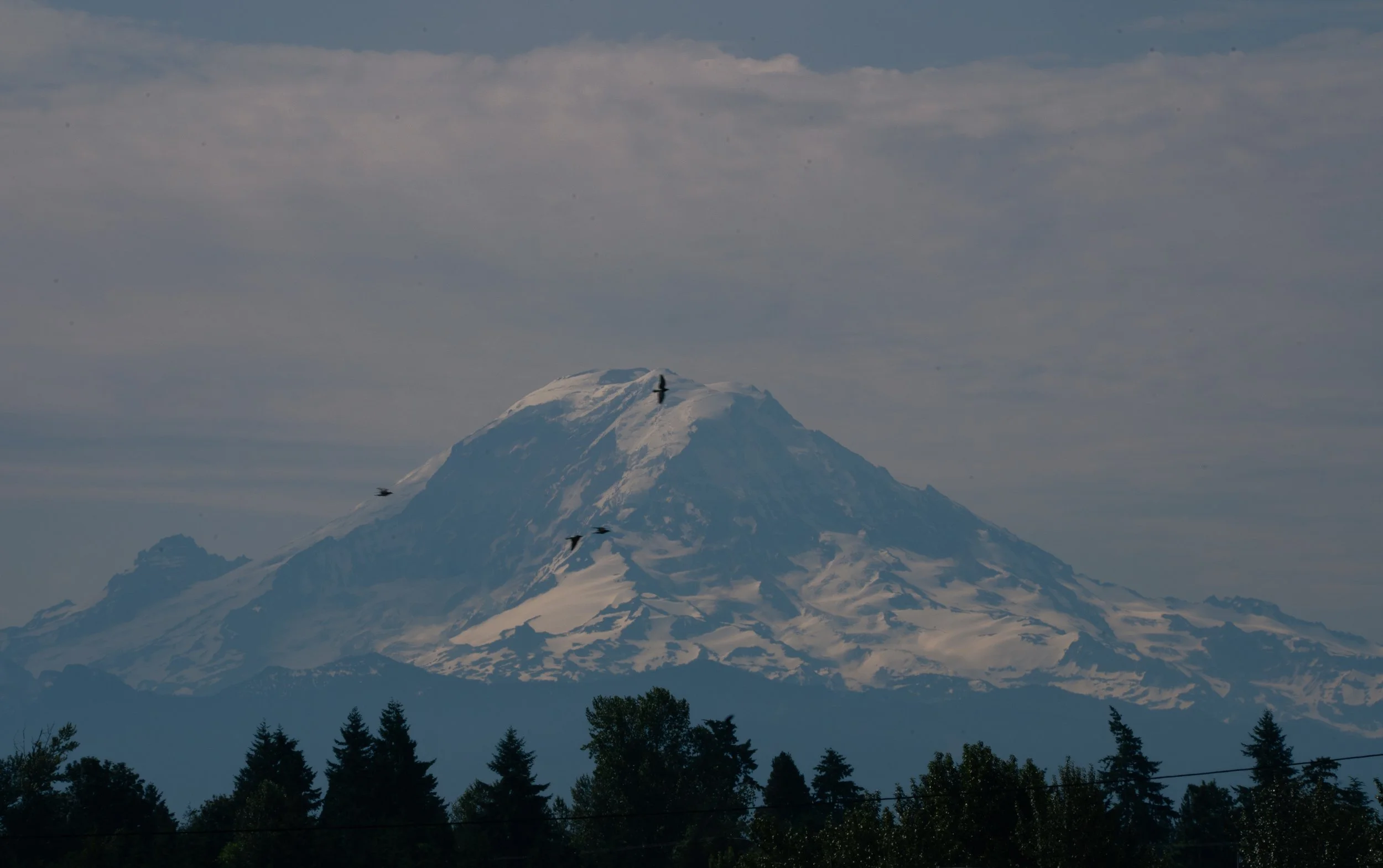Mount Rainer, Washington