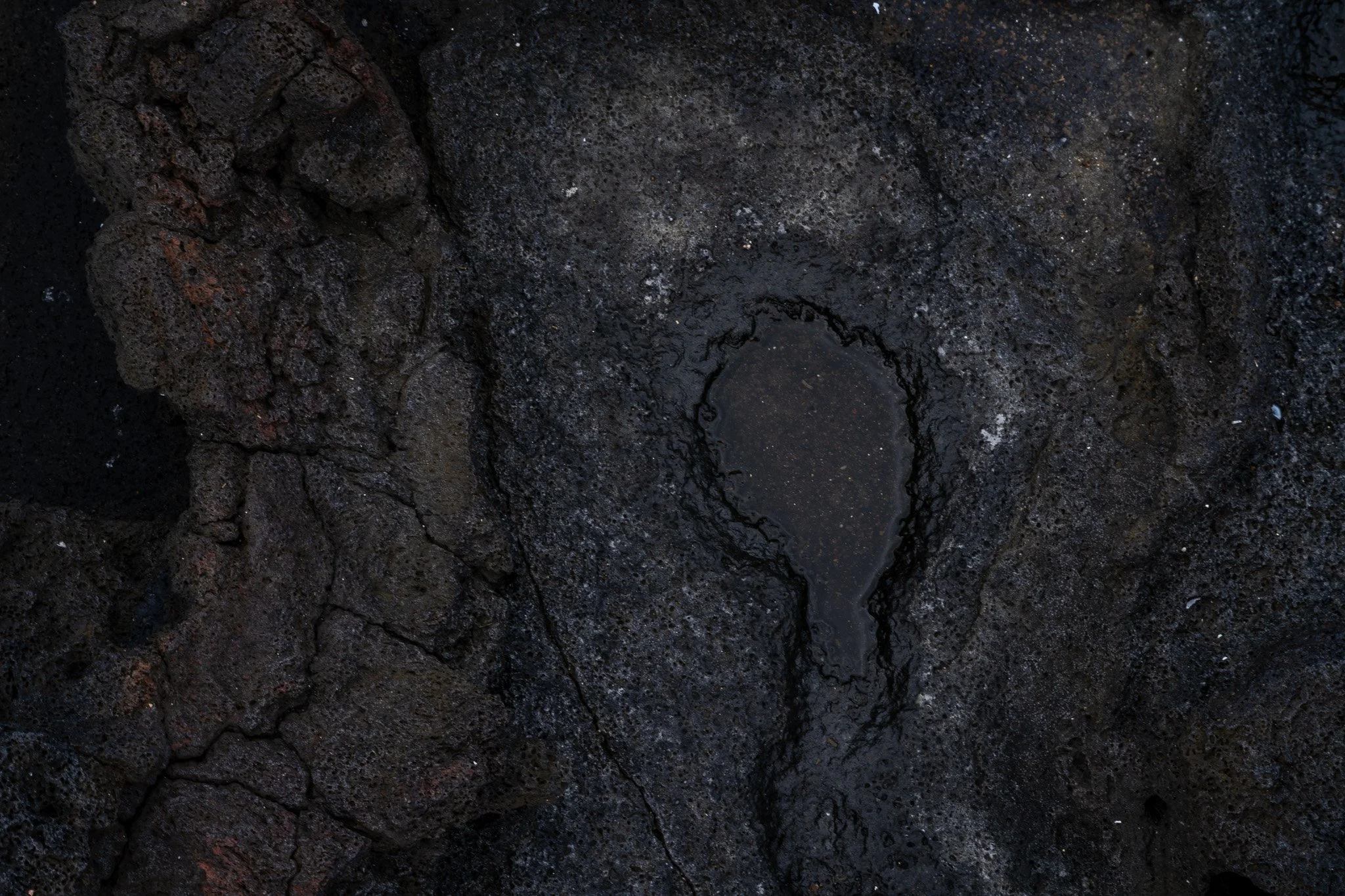 earthsong