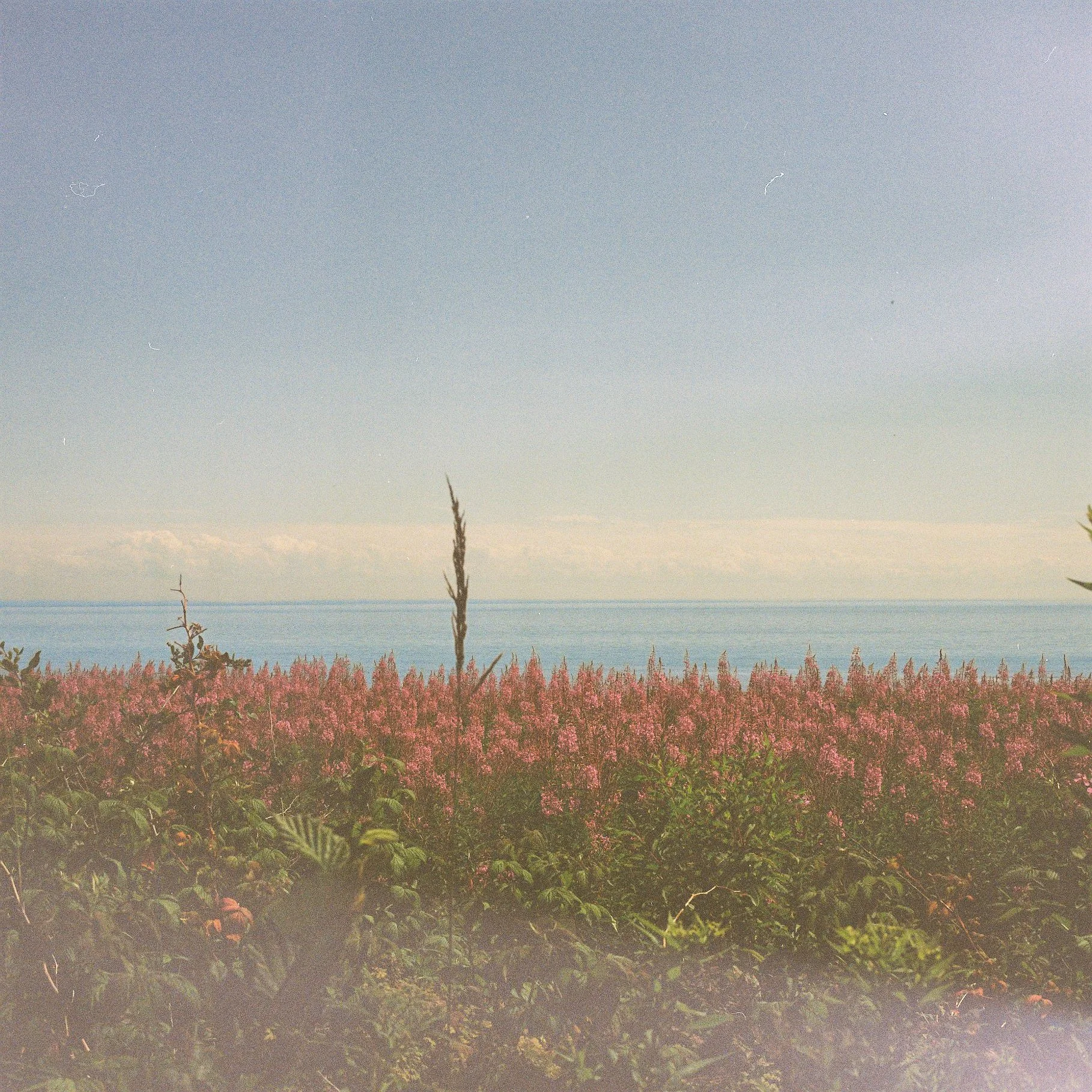 Bay of Fundy, N.B. Canada