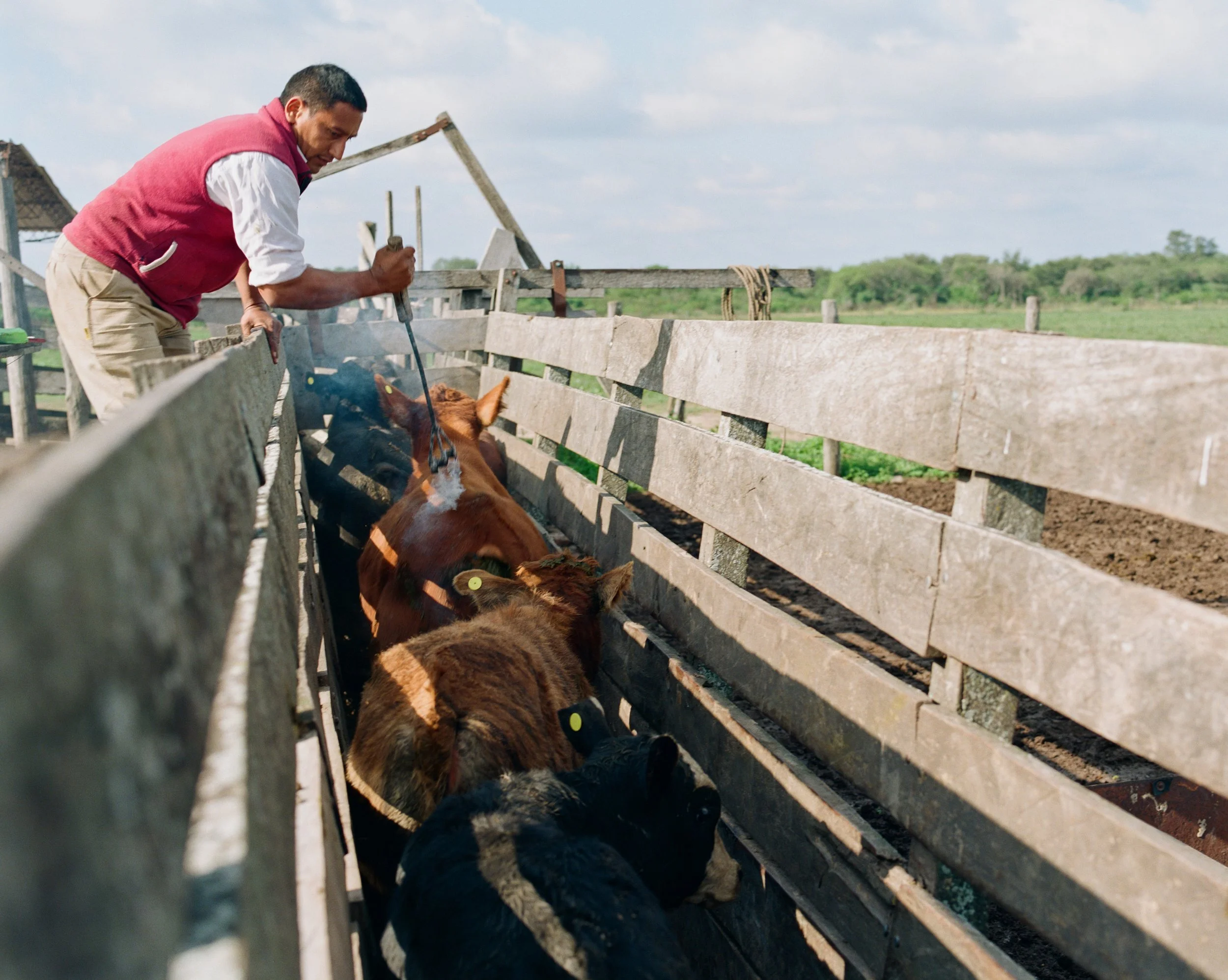 Sep 17 2025_JN_WEBSITE_78.jpg