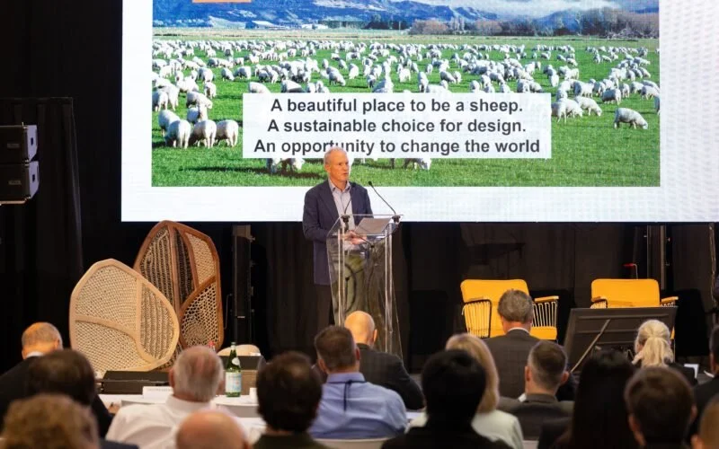 New wool body begins to take shape