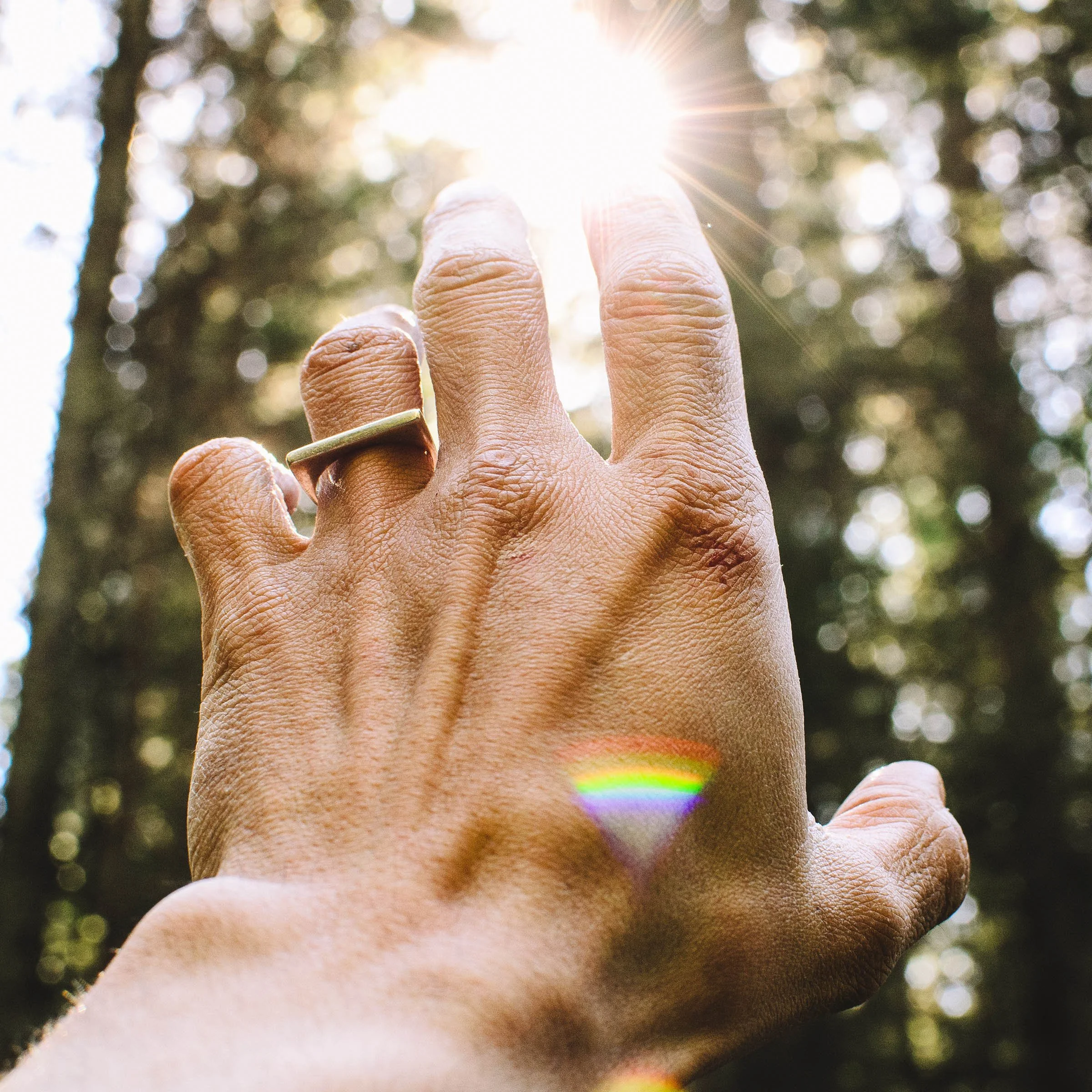 A close-up of a person's hand reaching toward the sun through a forest with trees in the background. The person is wearing a ring on their middle finger and sunlight creates a rainbow-colored lens flare.