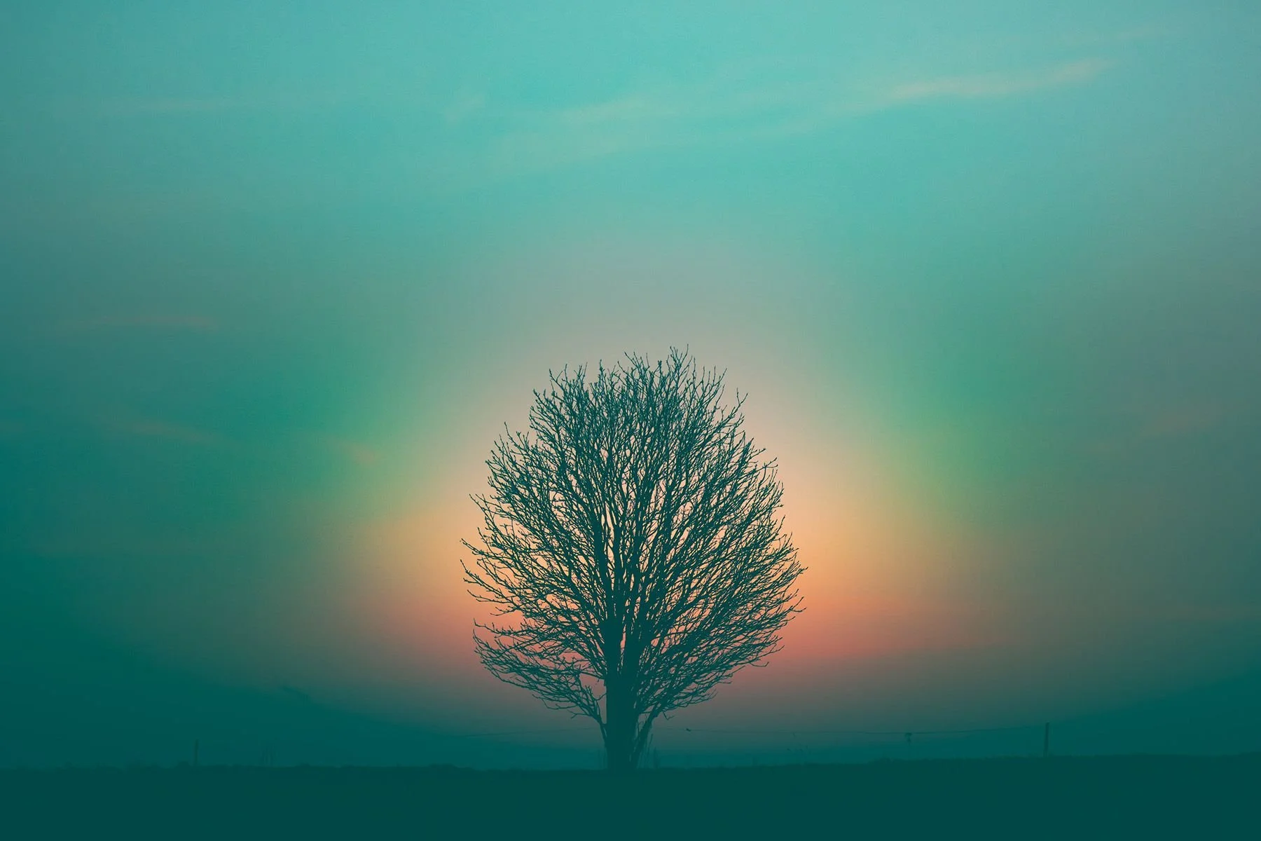 Secret of Light