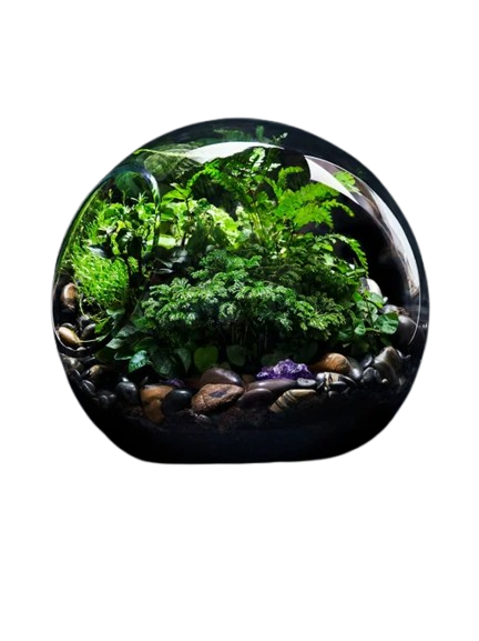 Haus of Life Collective Grand BioSphere