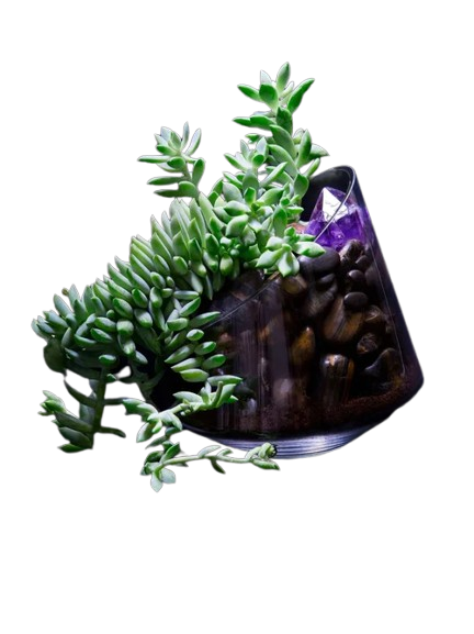 image-removebg-preview (5).png