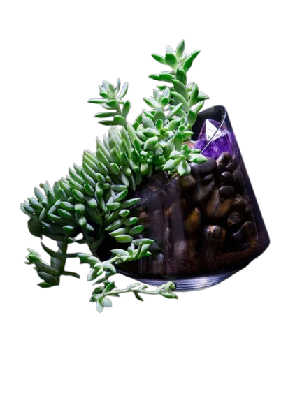 Royal Desert Cacti Oasis Centerpiece