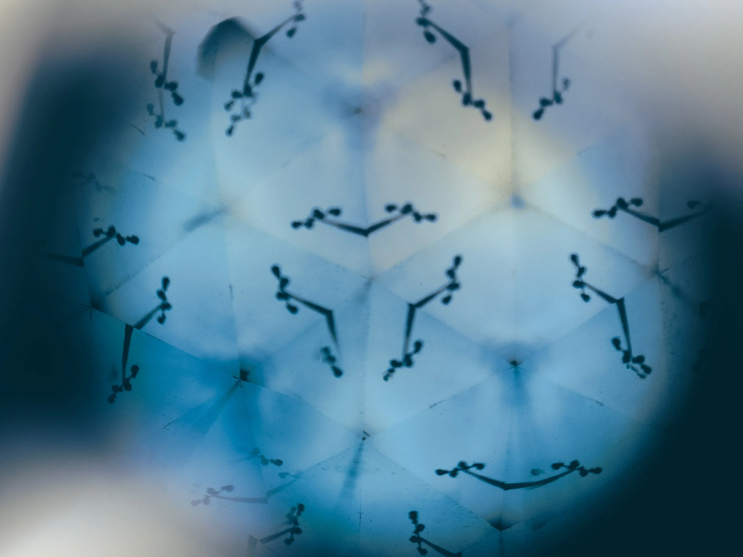 Looking Inward - Photography by Therapist Evan Kaufman