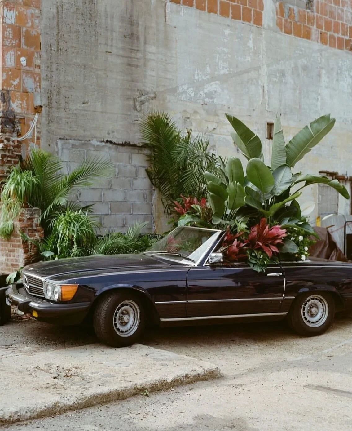 Interior design, exterior attitude.
Kostel energy, always in full bloom.

#KostelDesign #LiveLoudly #DesignWithAttitude #EditorialEnergy #CreativeDirection
#InteriorDesignStudio #DesignThatMoves #StyledSpaces #BoldDesign #ArtfulLiving
#DesignInspirat