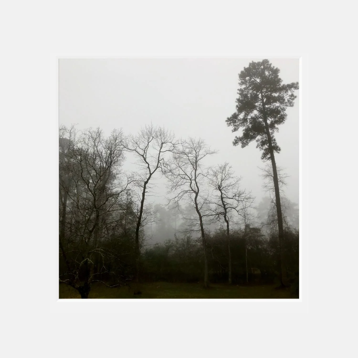 Secrets - 12" x 12" matted photographic print