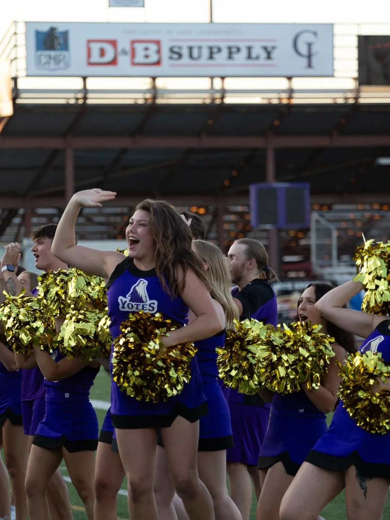 Cheerleaders wearing blue and black uniforms with gold pom-poms, celebrating on a football field