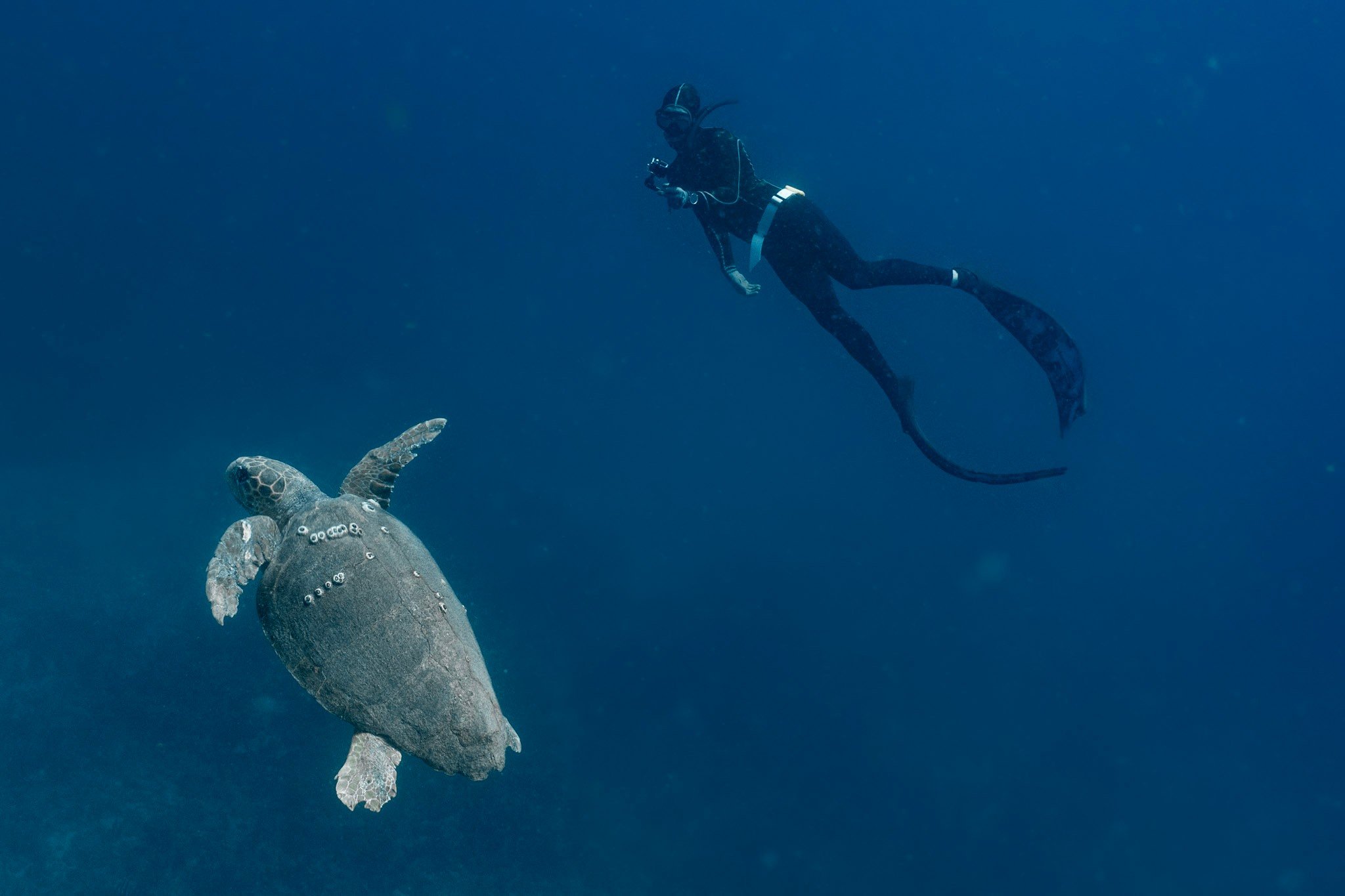 Email Marketing & List Management Services