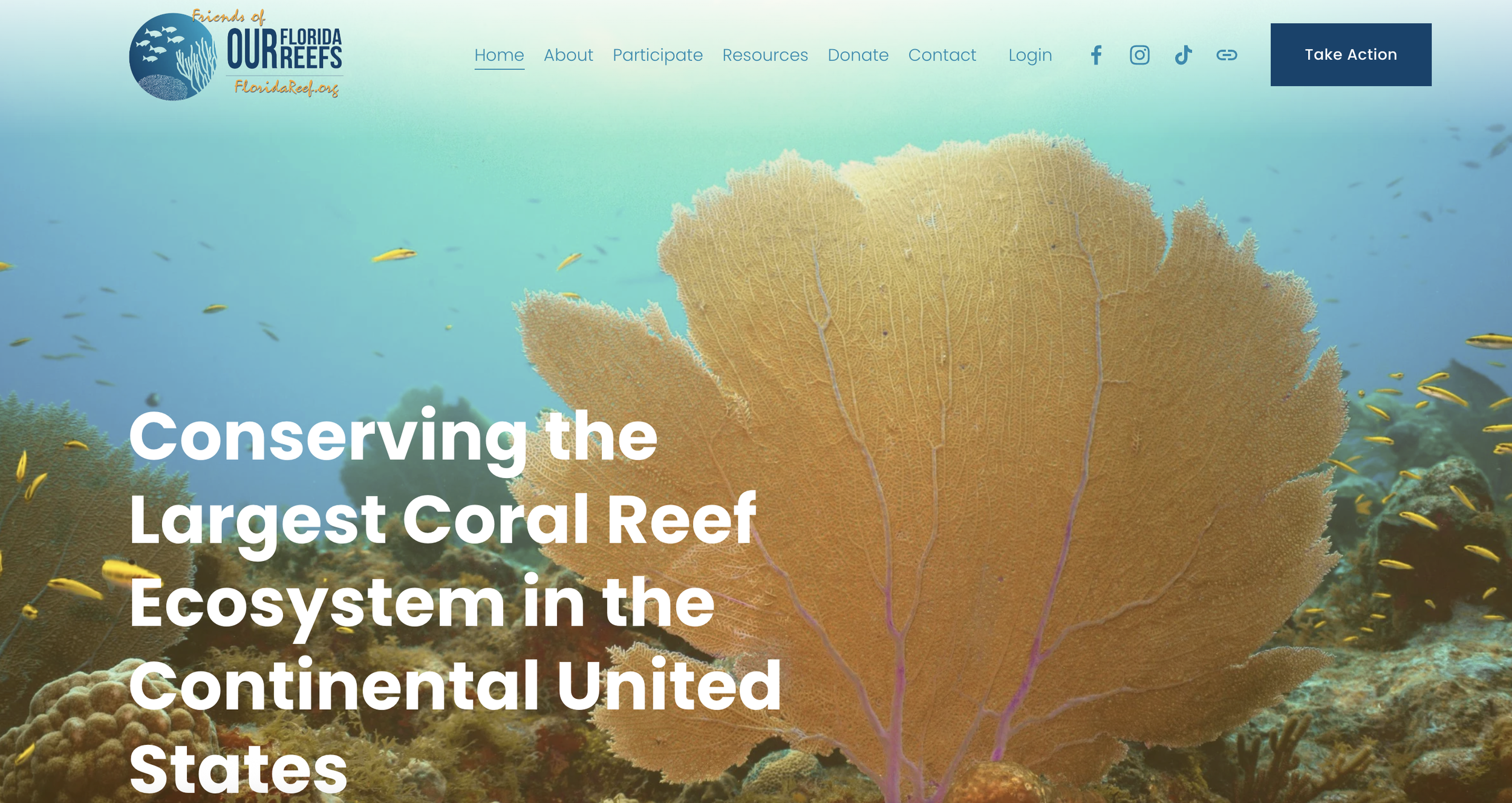 Website Copywriting & Template Redesign