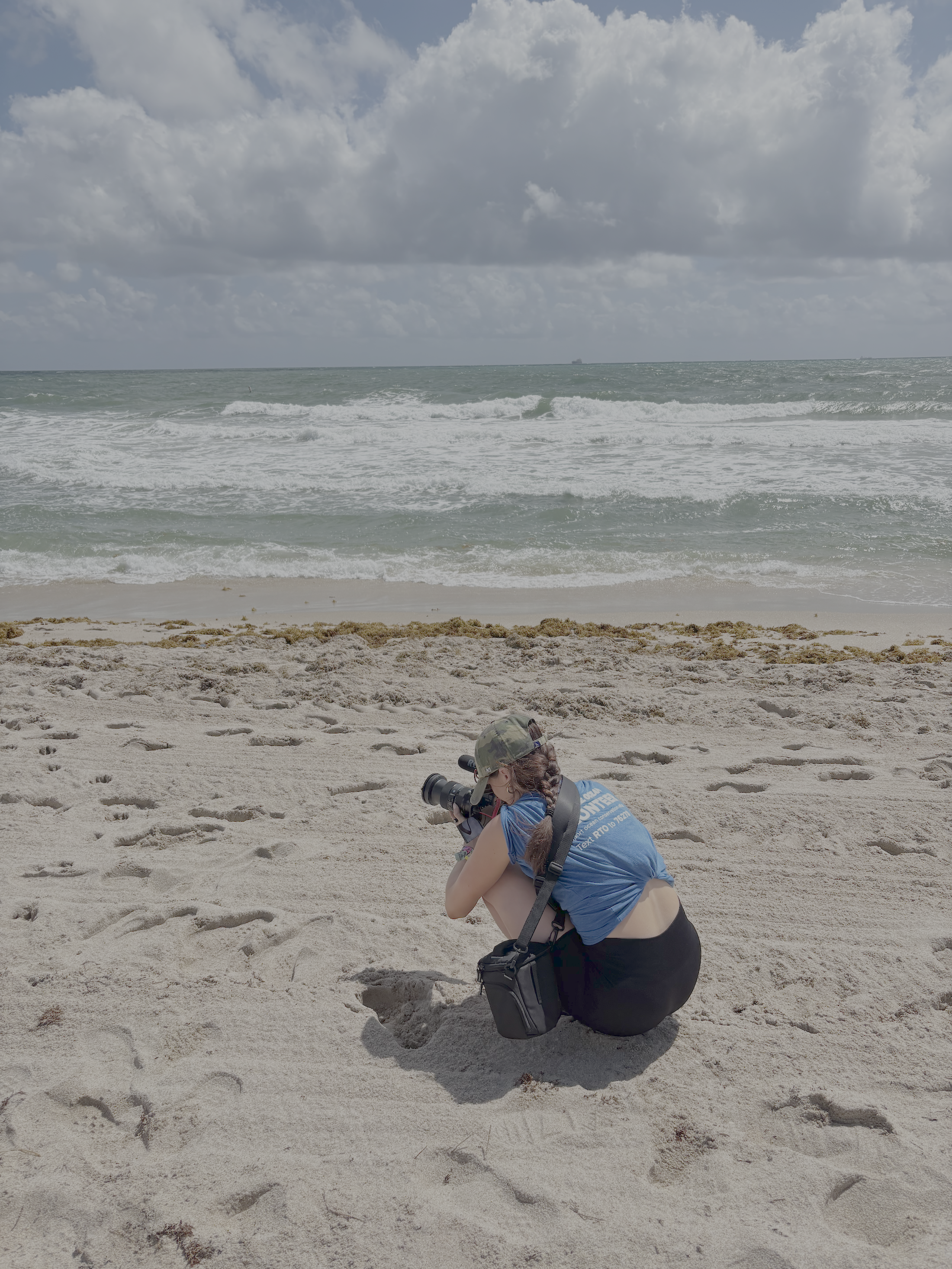 Professional Photography & Videography