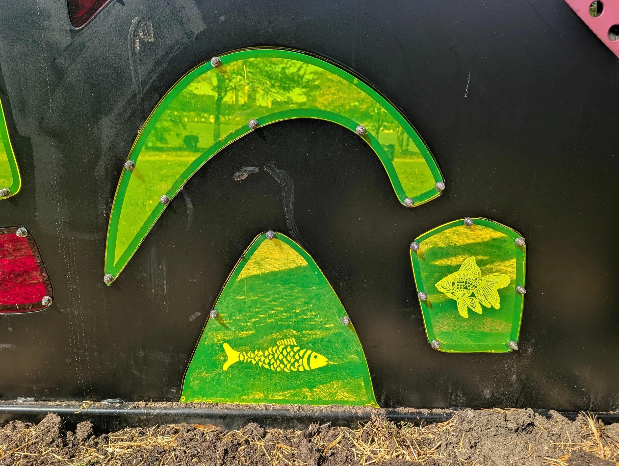 processed_13095.jpg