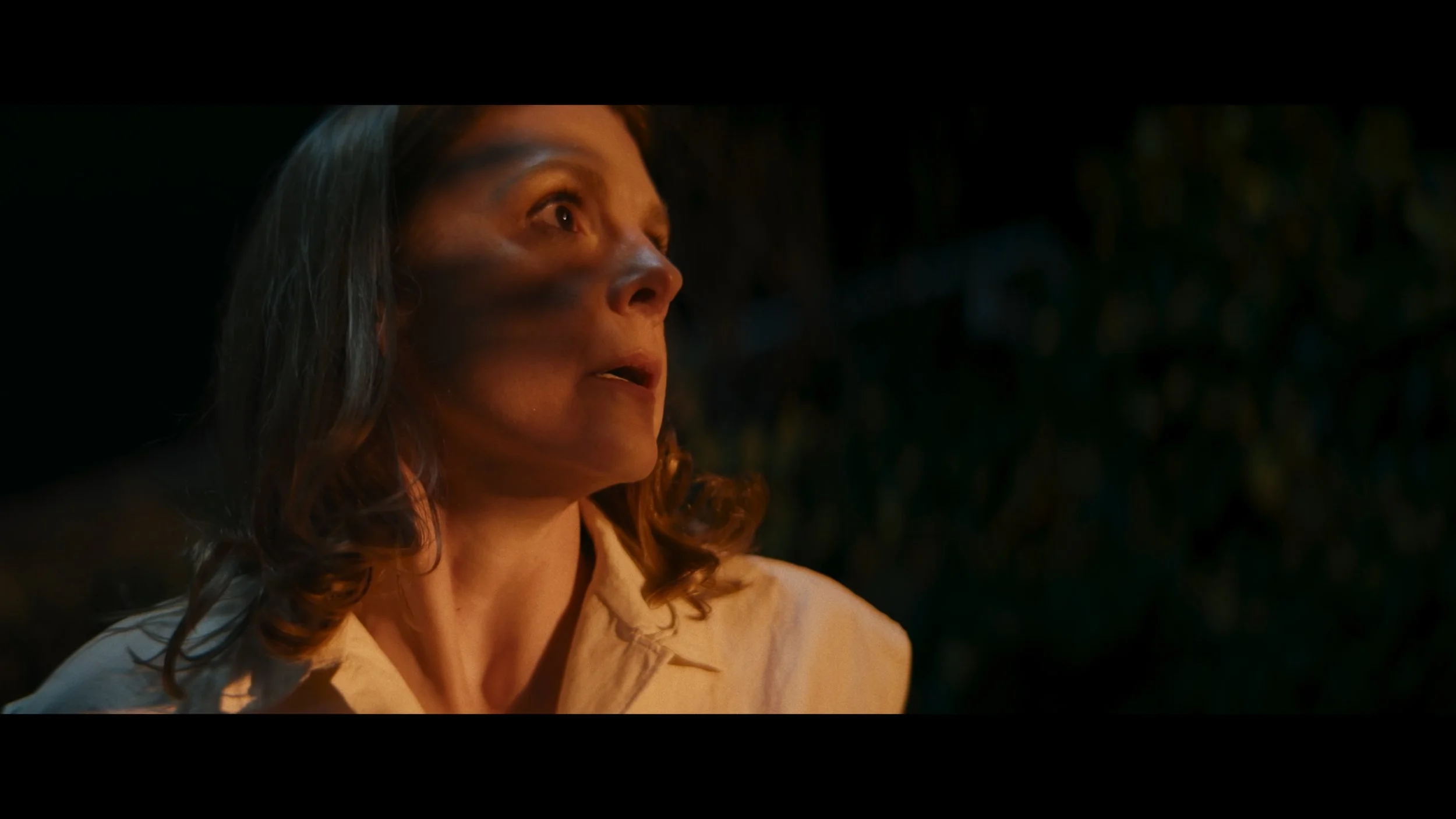 Still 2025-09-29 134401_1.1.24.jpg