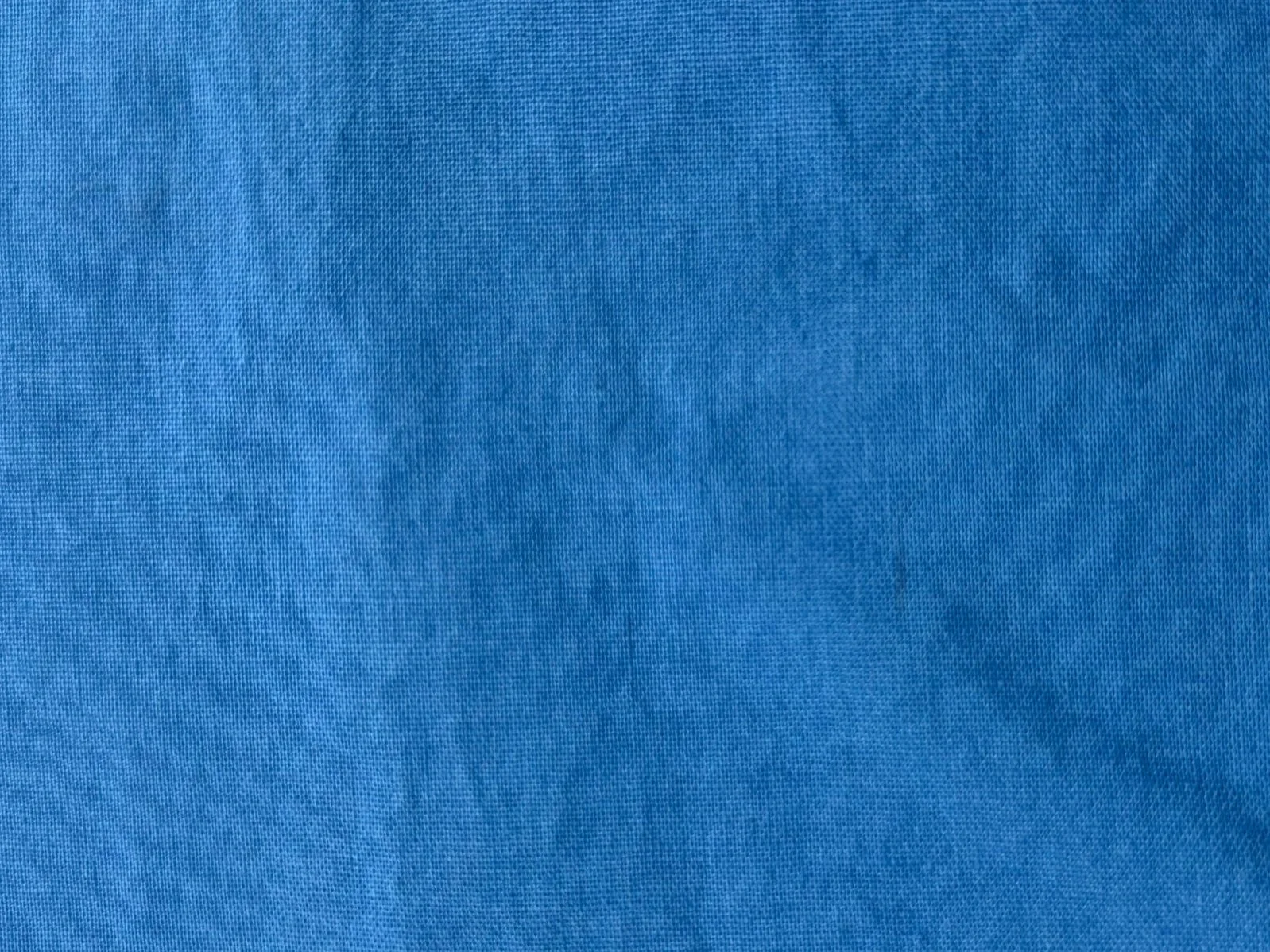 ConflowerBlue1.jpg (Copy)