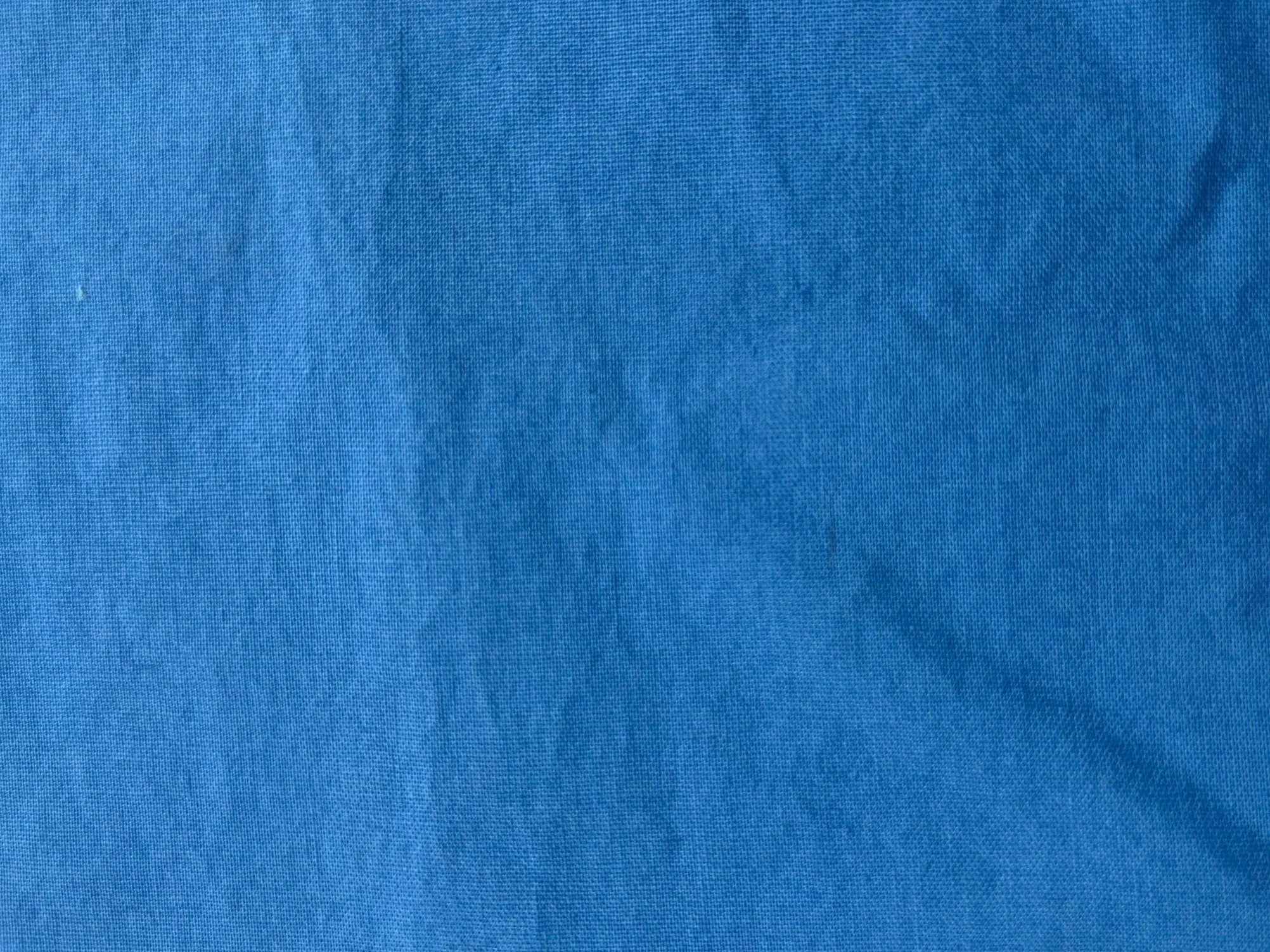 ConflowerBlue1.jpg