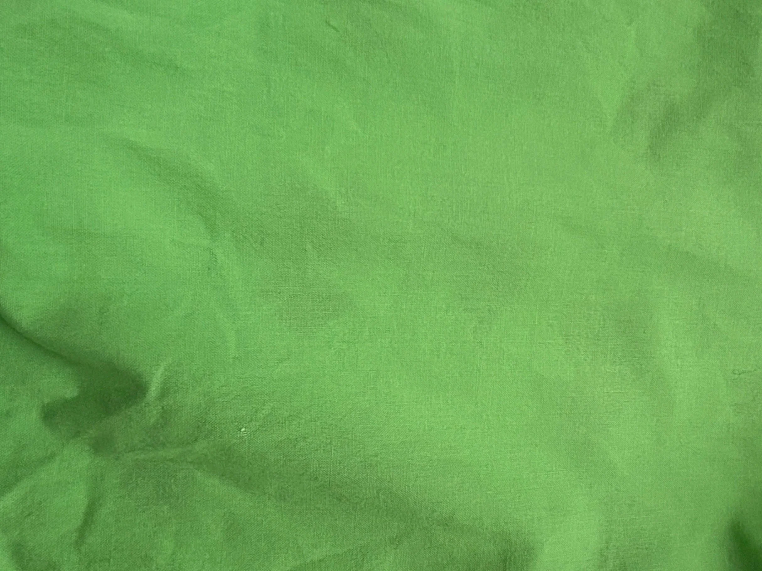 BrightGreen2.jpg (Copy)