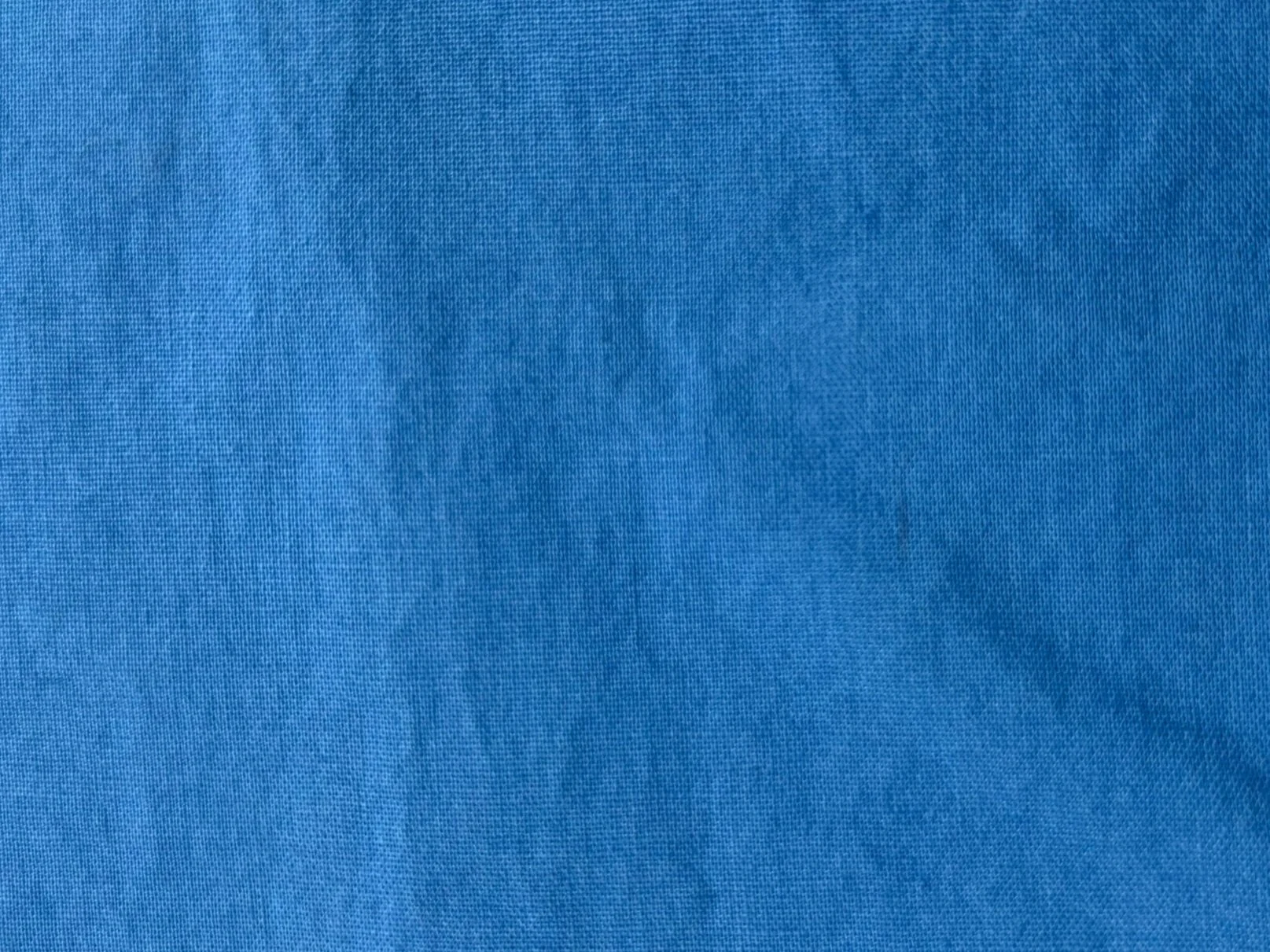 ConflowerBlue1.jpg